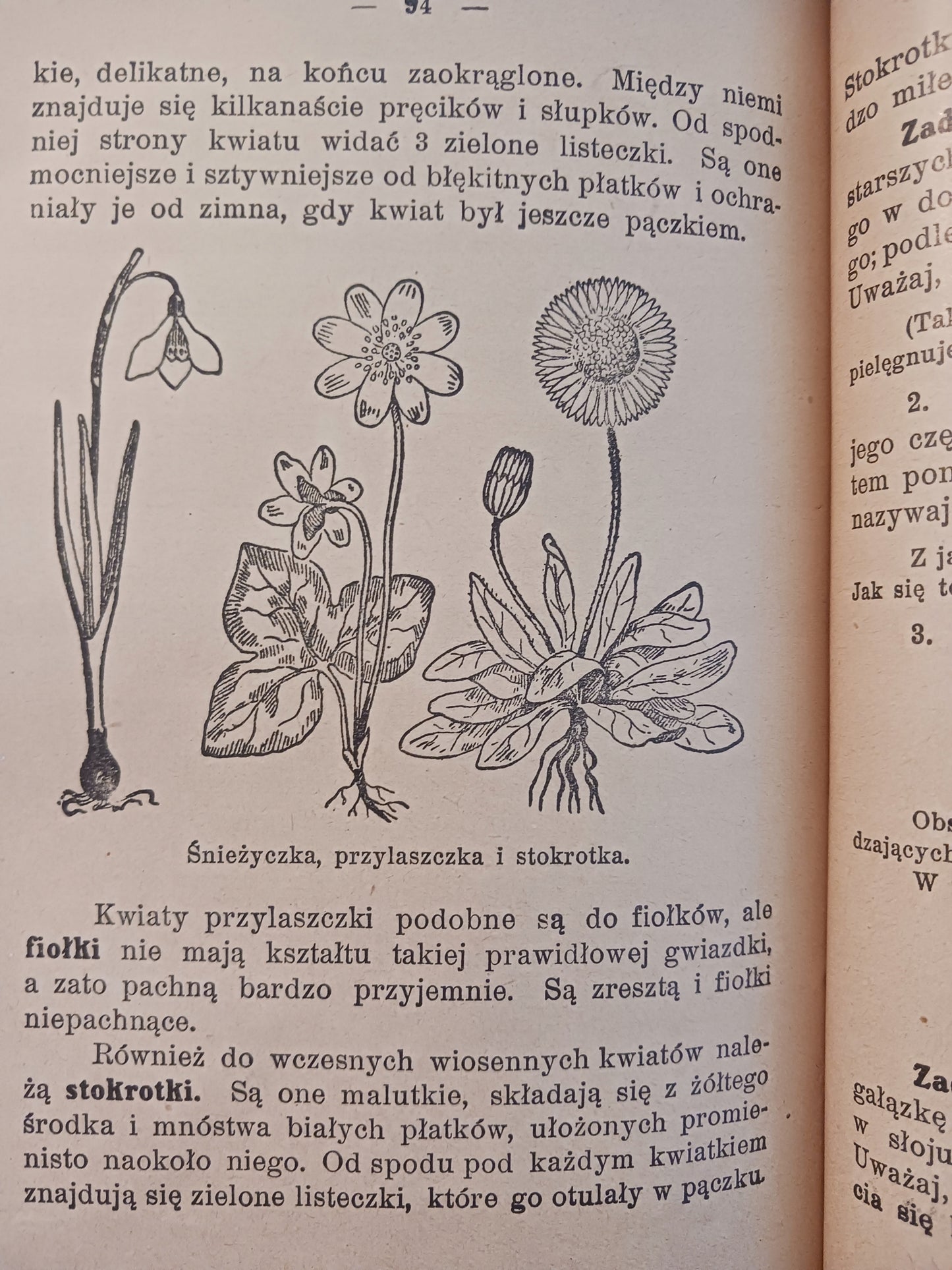 Początkowa nauka o przyrodzie Bohdan Dyakowski Wydanie jedenaste [ca 1930]