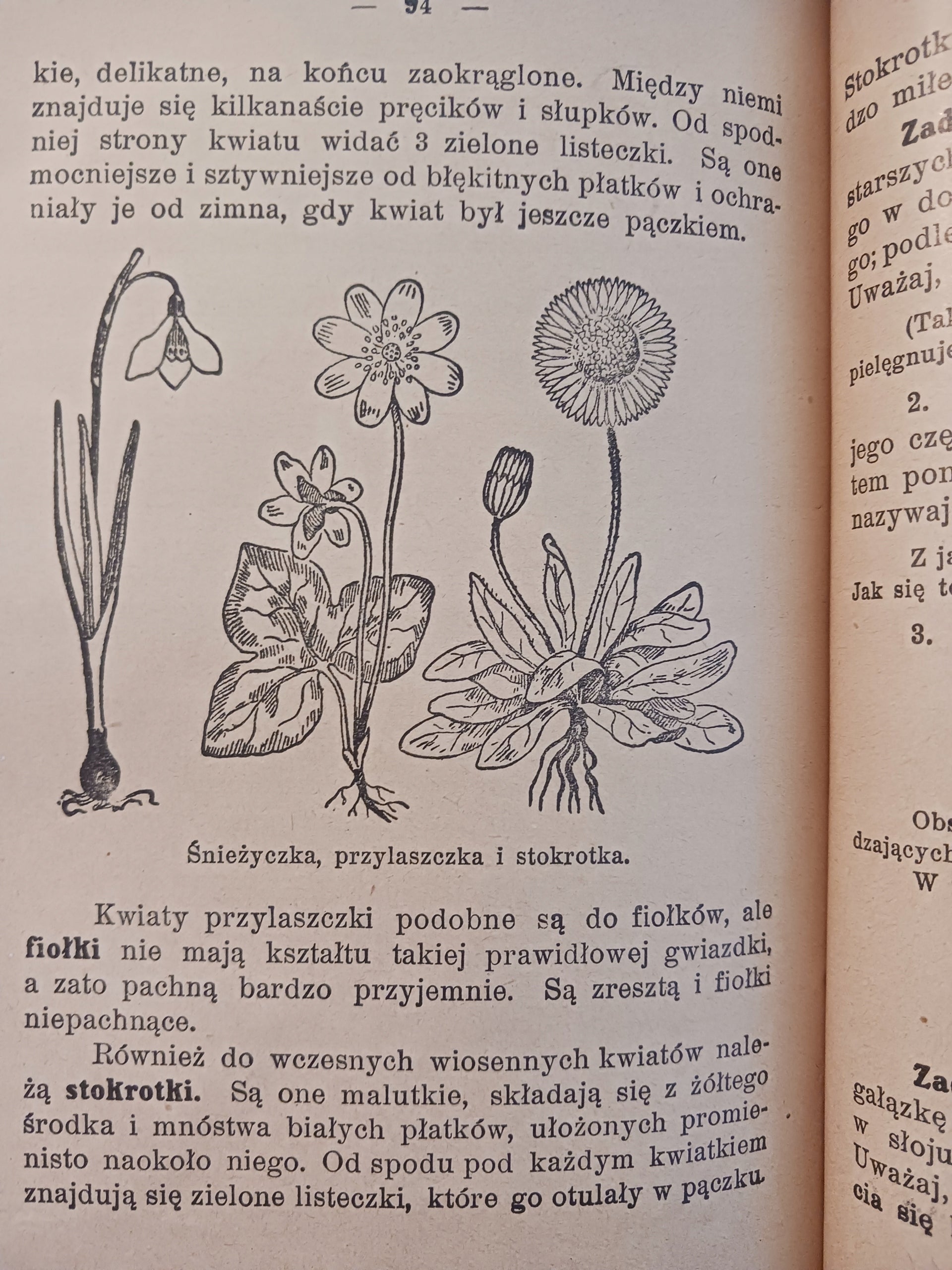 Początkowa nauka o przyrodzie Bohdan Dyakowski Wydanie jedenaste [ca 1930]