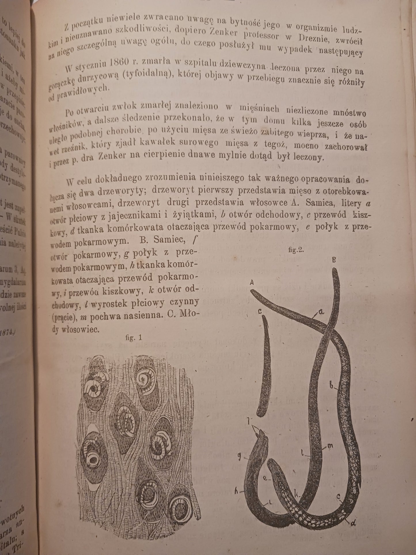 Wiadomości farmaceutyczne Tom I red. Jan Mrozowski [pełny rocznik 1874 r.]
