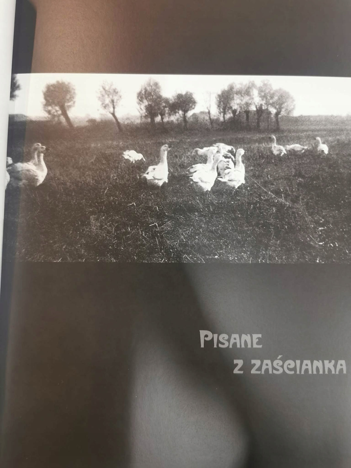 Młoda Polska: Słowa, Obrazy, Przestrzenie