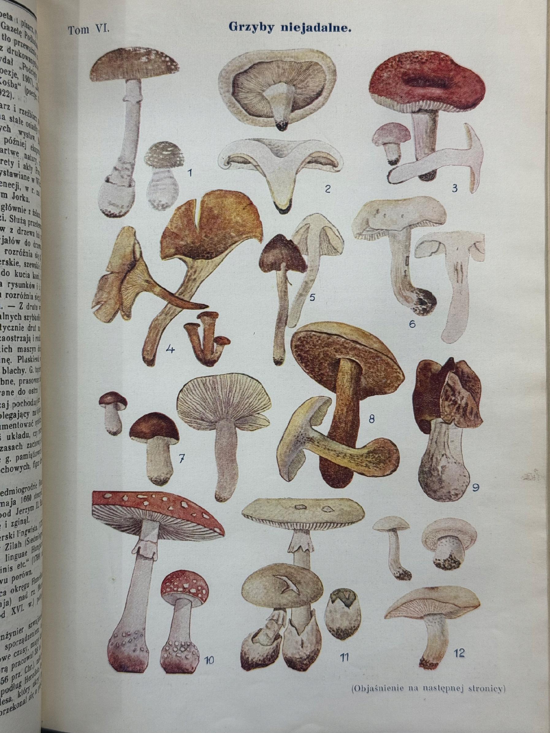 Encyklopedia Powszechna Wydawnictwa Gutenberga Tomy 1-20