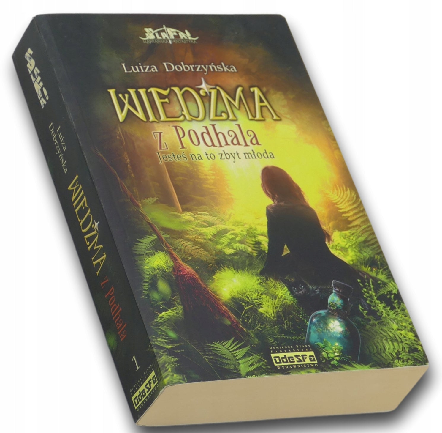 Wiedźma z Podhala T.1, Jesteś na to zbyt młoda, Luiza Eviva Dobrzyńska