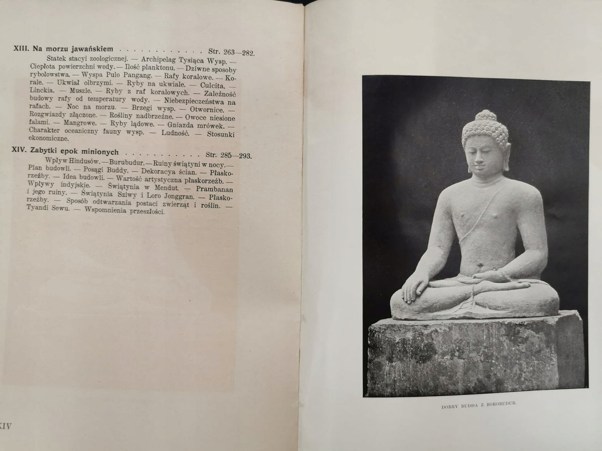 Jawa. Przygoda i sztuka, uwagi z podróży, M. Siedlecki [Kraków 1913]