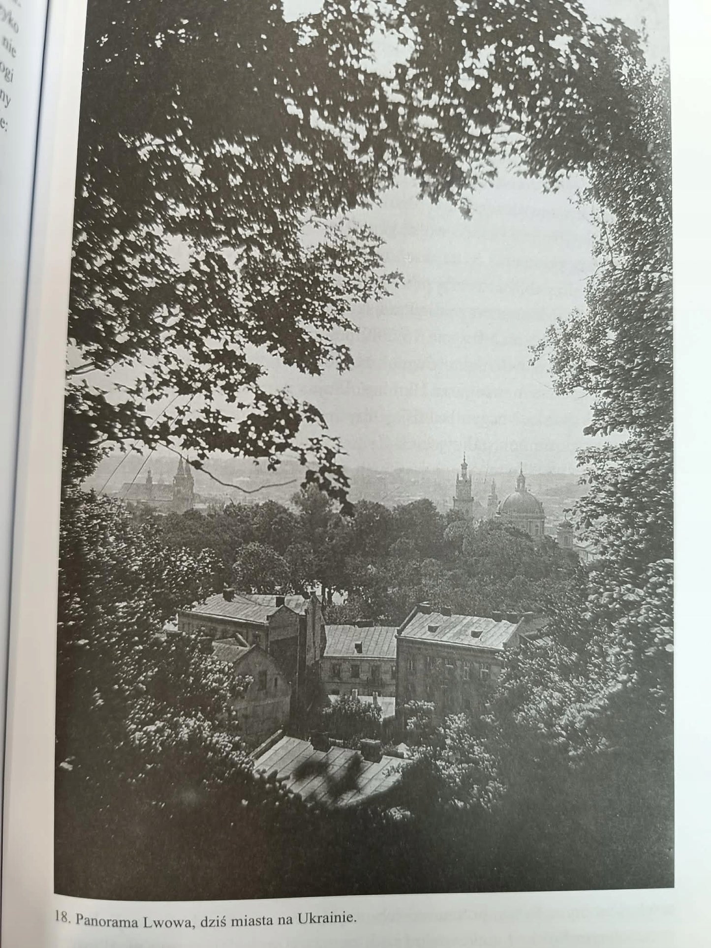 Rekonstrukcja narodów Polska, Ukraina, Litwa, Białoruś 1569-1999, Snyder