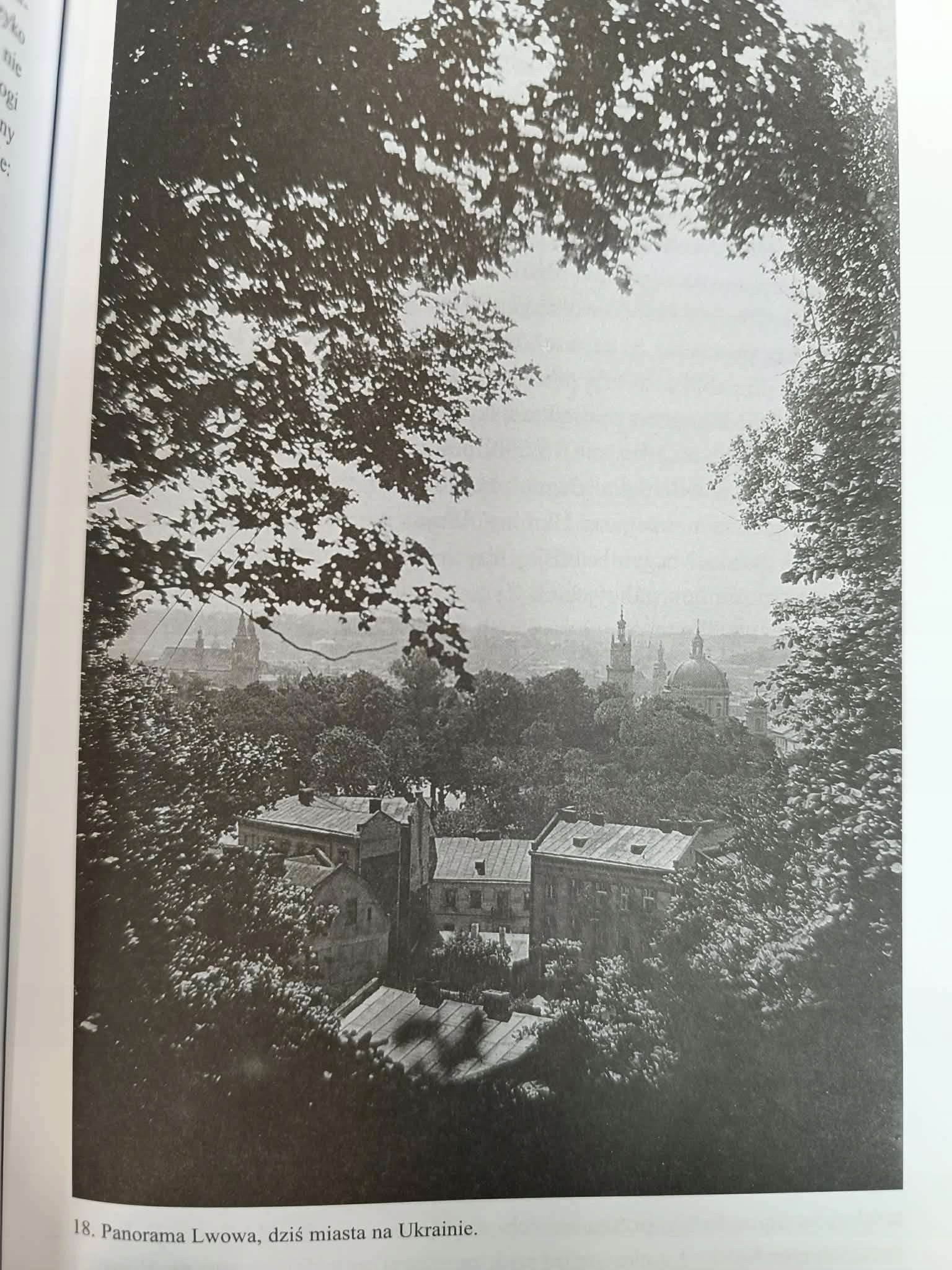Rekonstrukcja narodów Polska, Ukraina, Litwa, Białoruś 1569-1999, Snyder