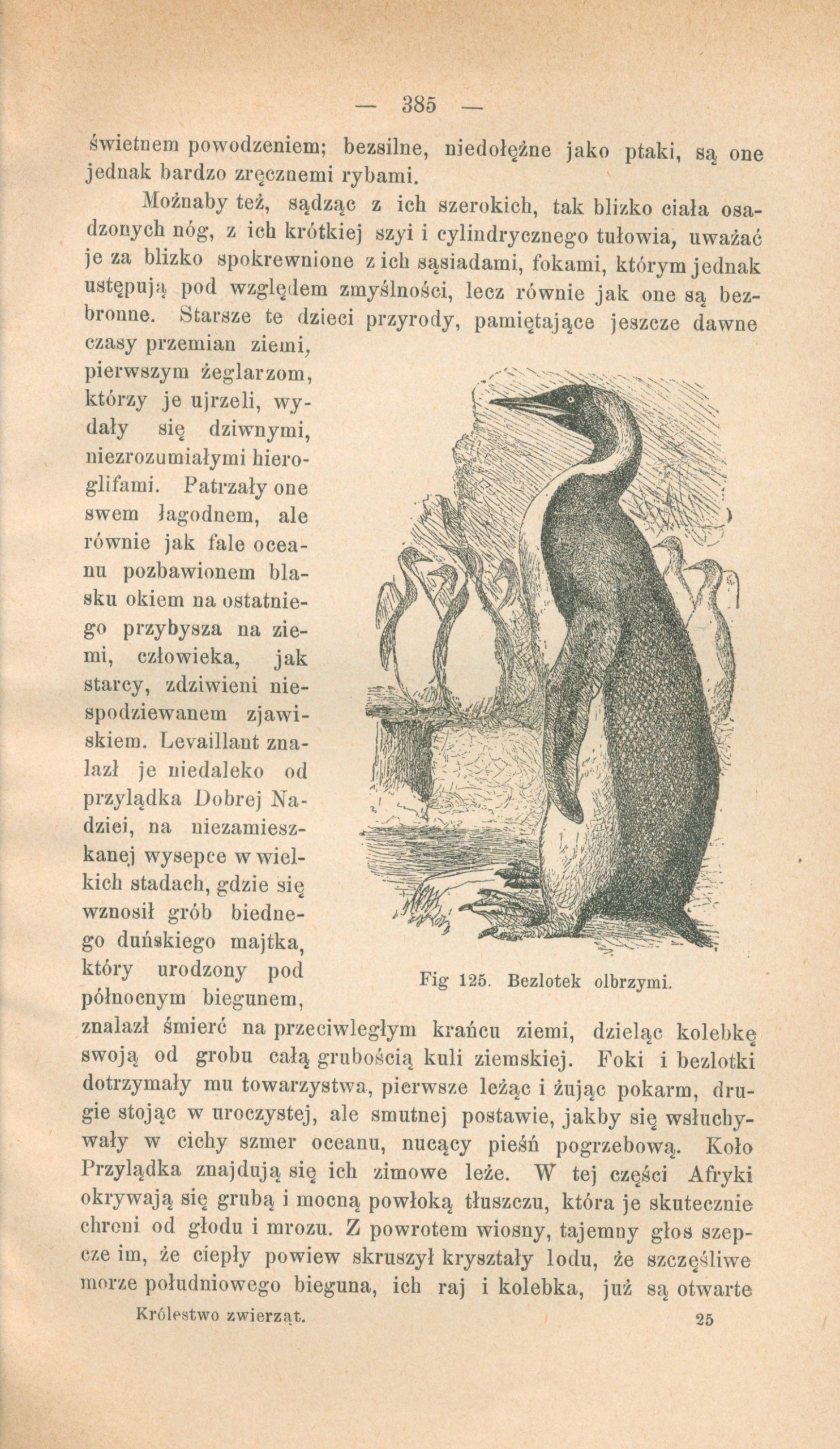 Królestwo zwierząt, Lakowitz Waldemar [Warszawa 1893]