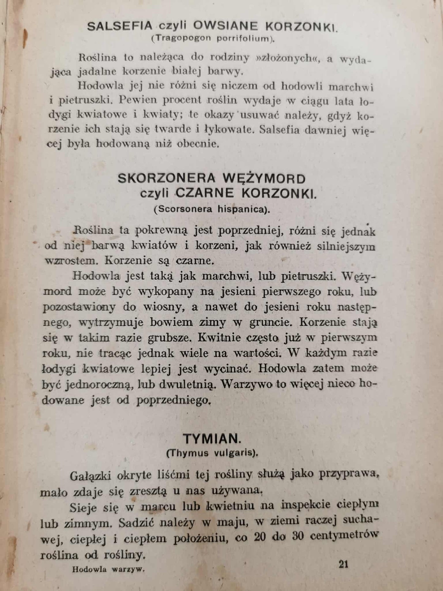 Hodowla warzyw, Józef Brzeziński [Kraków 1929]