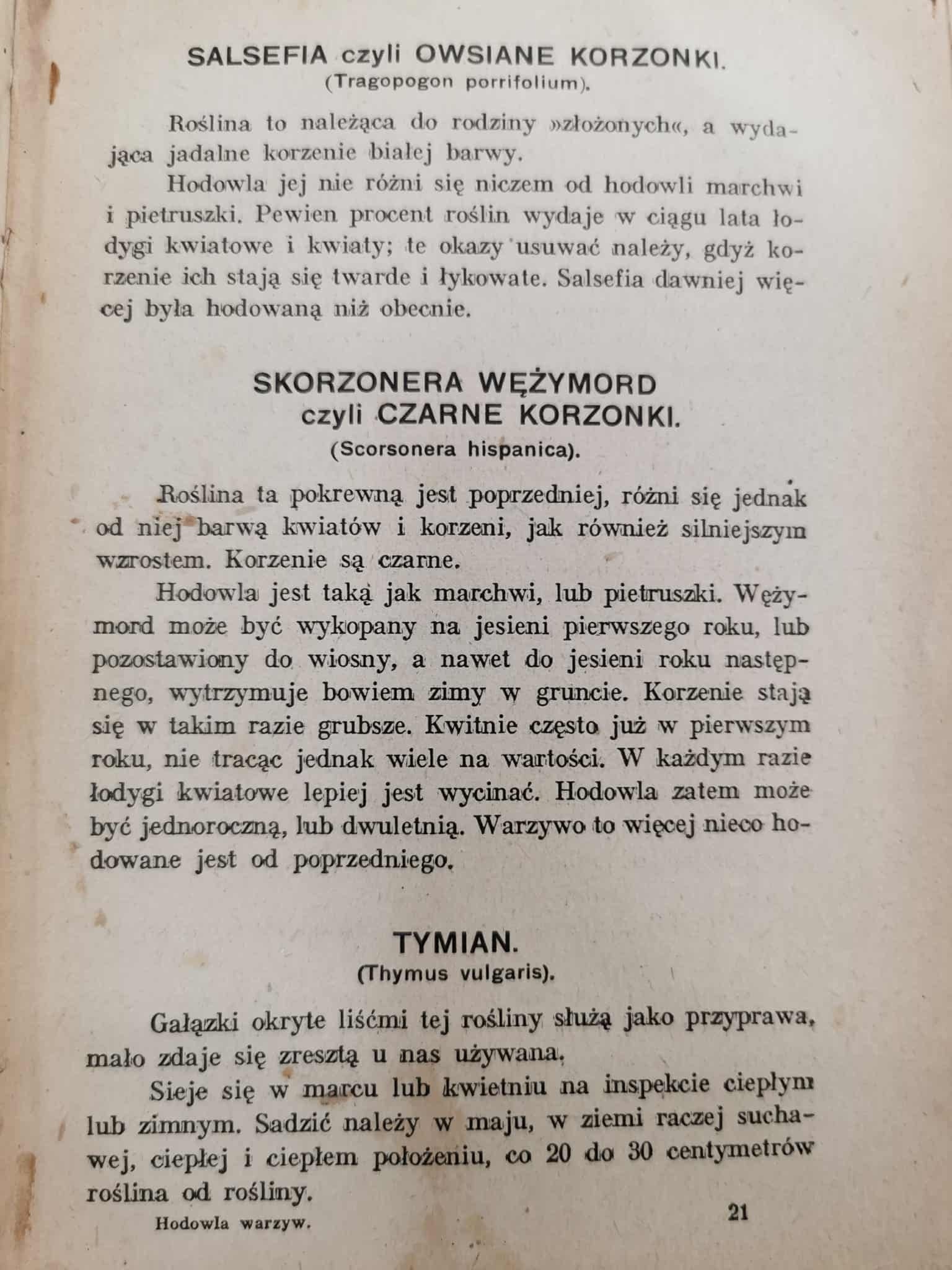 Hodowla warzyw, Józef Brzeziński [Kraków 1929]