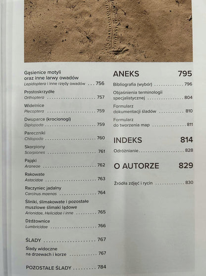 41be37bdd4f97c0ba6ca549d88abe215