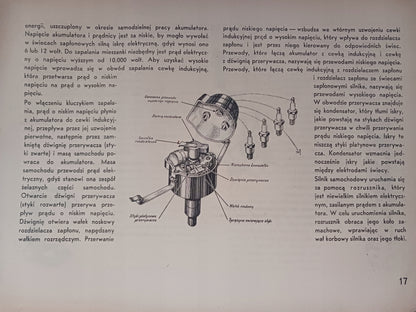 8707cb390f9a19d85556c54b0c1fb7c9