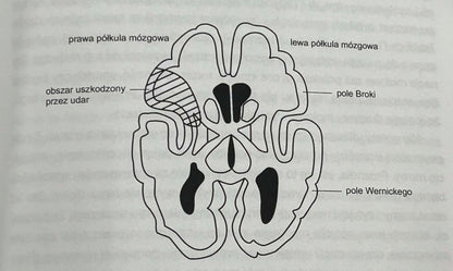 Duchowe życie mózgu Kenneth M. Heilman, Russell S. Donda