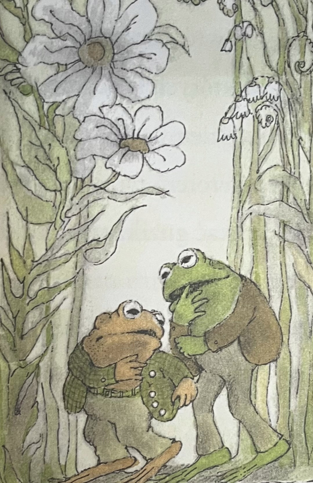 Arnold Lobel Wszystkie przygody Żabka i Ropucha