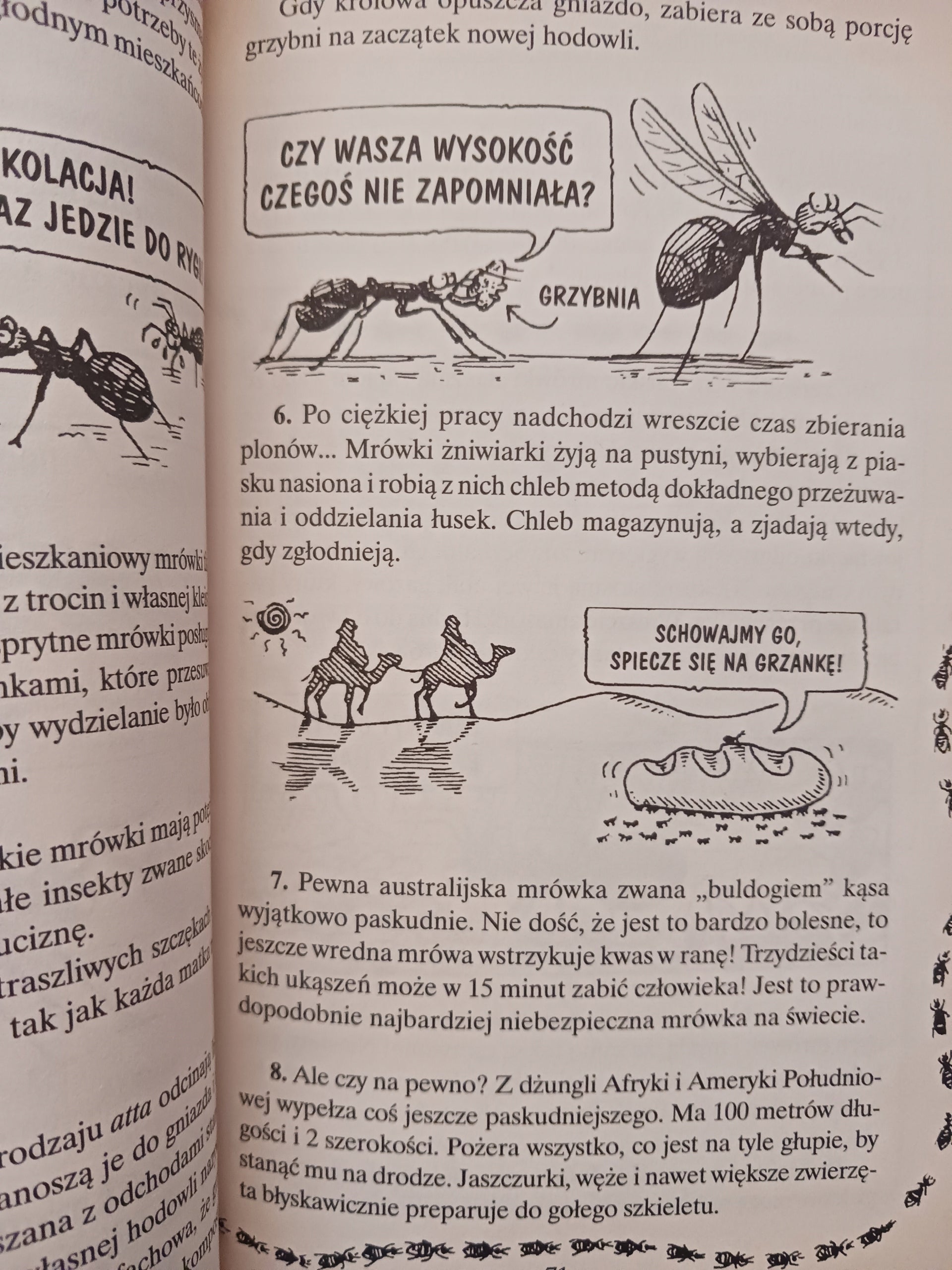 Monstrualna Erudycja x10 Płomienie Olimpiady M. Coleman, Fascynująca ... +