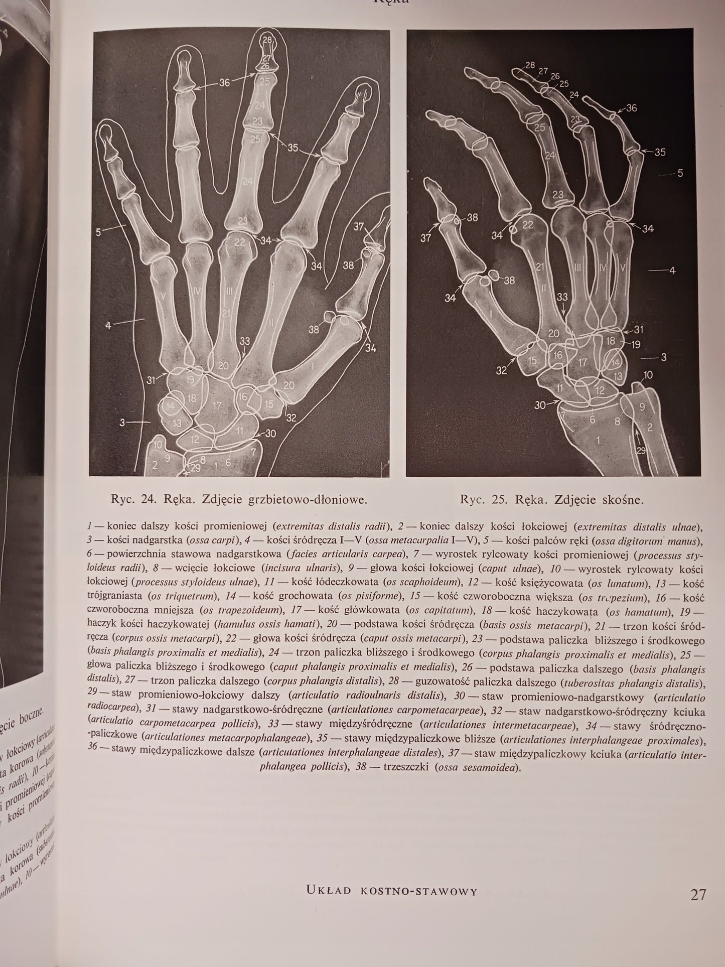 Atlas anatomii rentgenowskiej człowieka Bohdan Daniel + Atlas chorób...