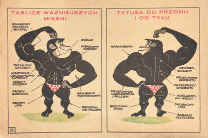 c441d75746acd70fcbd5a99712e06ca0