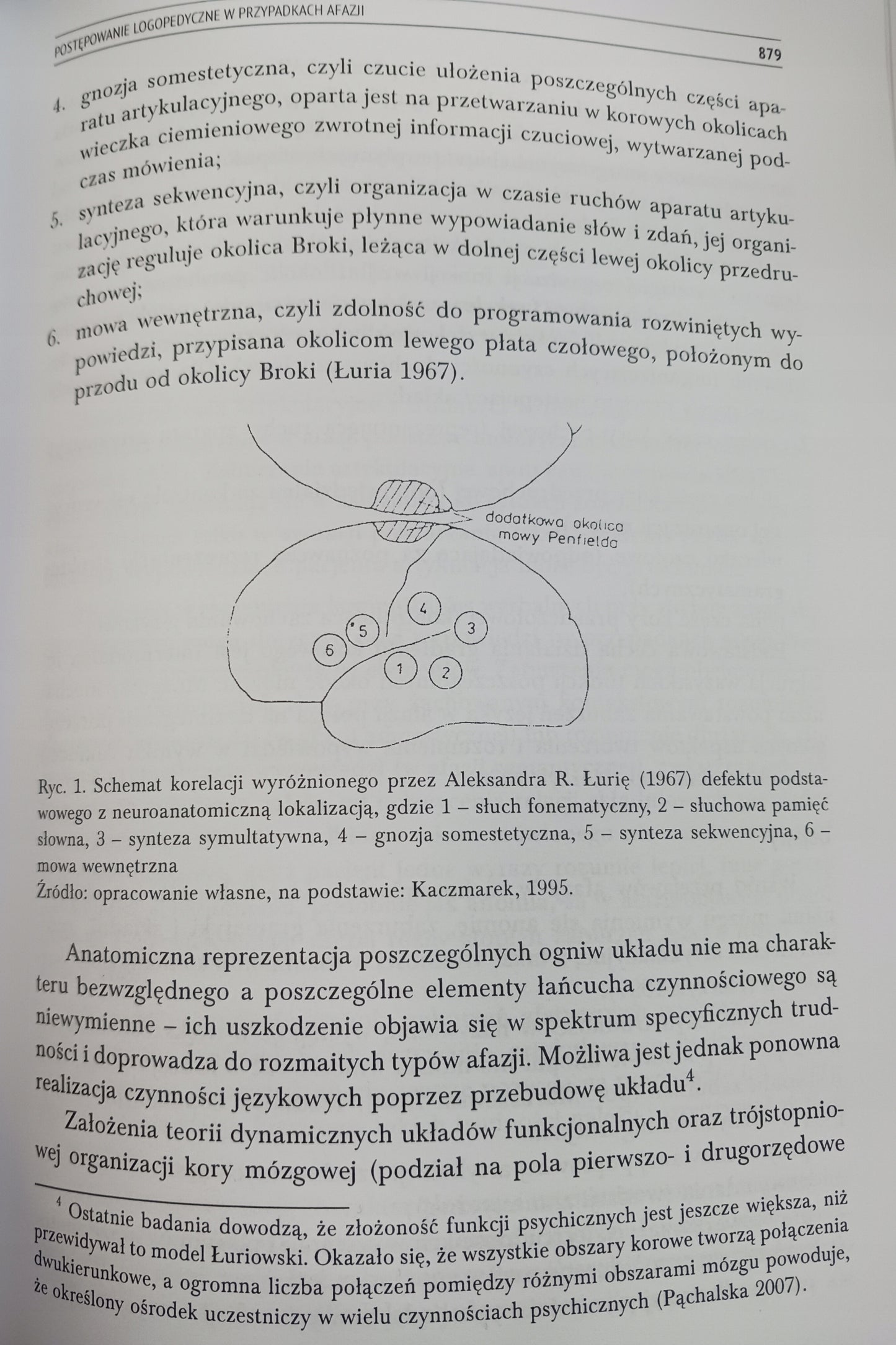 Logopedia. Standardy postępowania logopedycznego Praca zbiorowa