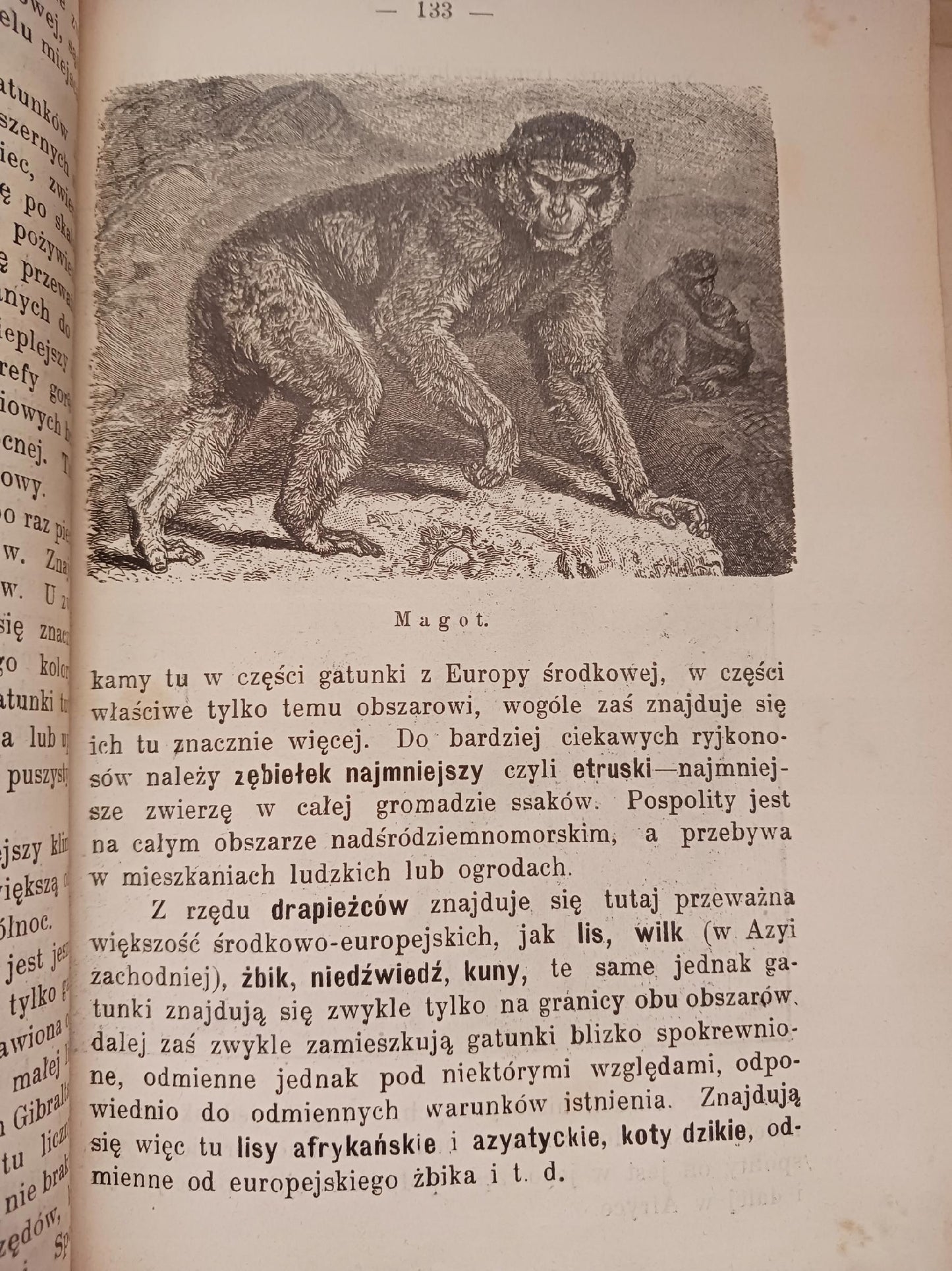 Zwierzęta lądowe i morskie B. Dyakowski [przedwojenna biologia, wyd. 1907r]