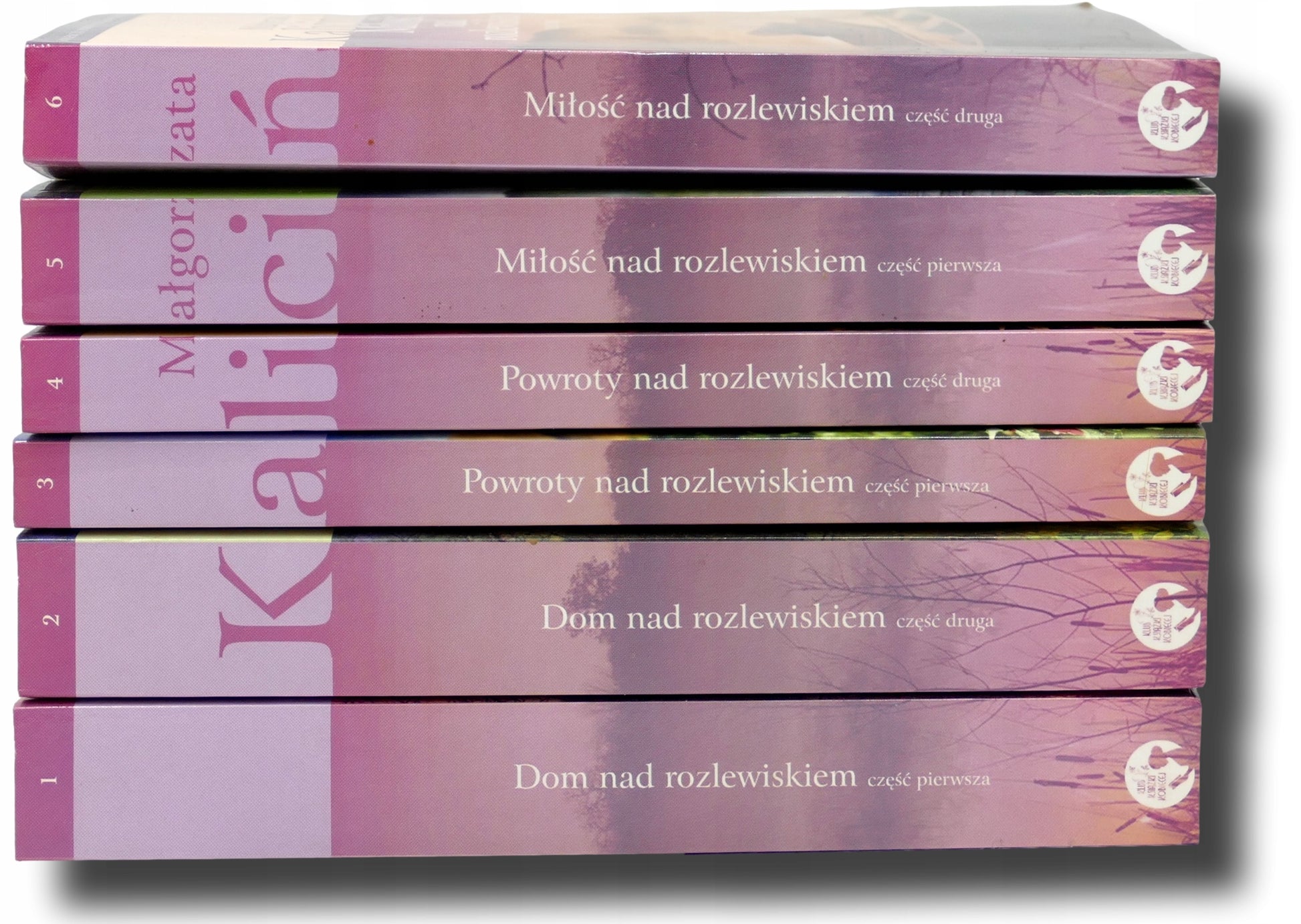 Małgorzata Kalicińska x6 Dom nad rozlewiskiem, Powroty nad rozlewiskiem
