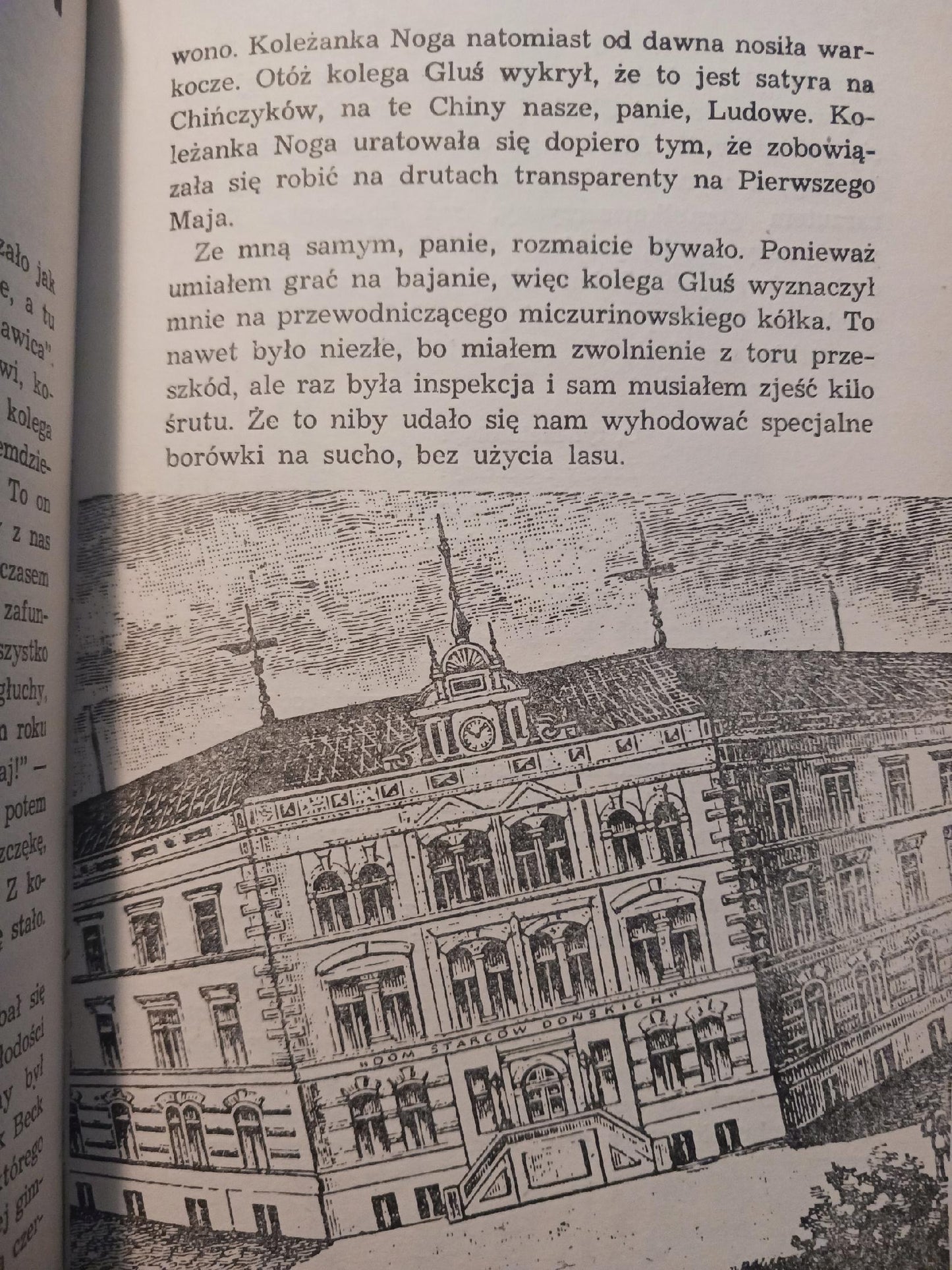 Słoń Sławomir Mrożek [ilustracje Daniel Mróz]