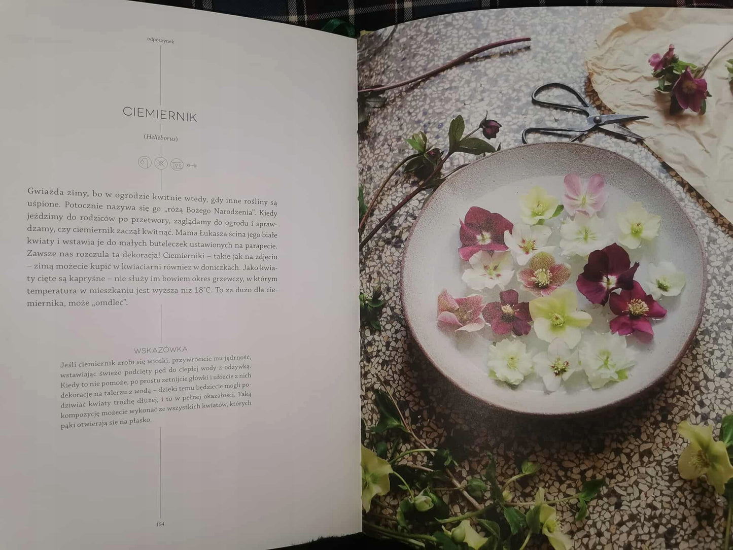 5fb3641888de7080468ecf5f3c462f59