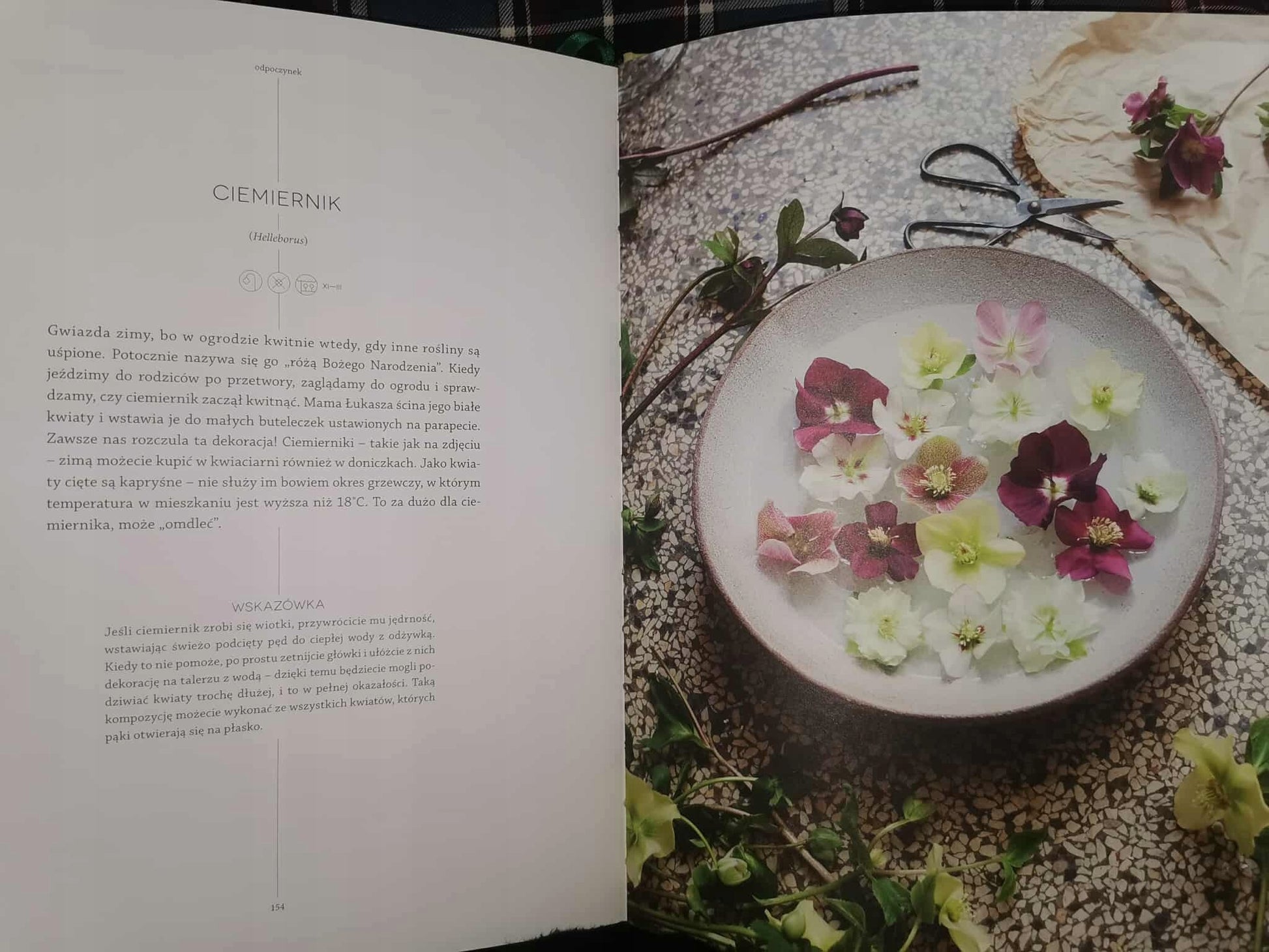 5fb3641888de7080468ecf5f3c462f59