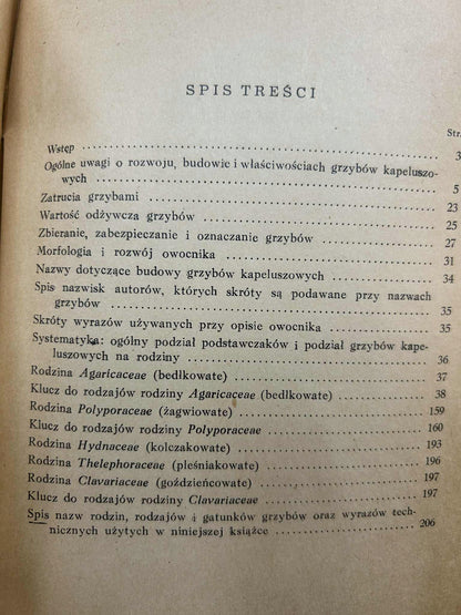 420f8d2f8cb4441ea396489c61410f83