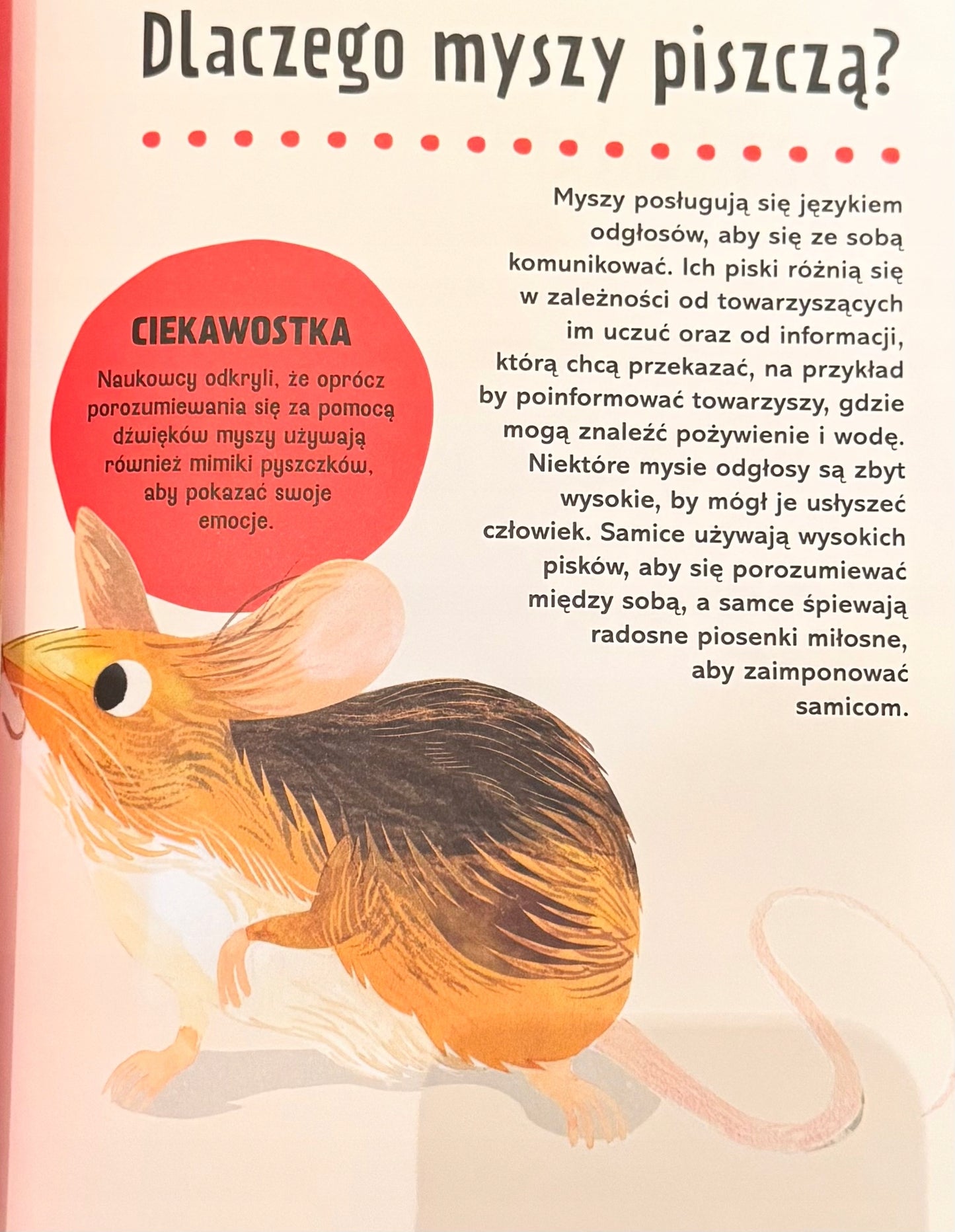 Britannica Wielka księga pytań dlaczego? Sally Symes