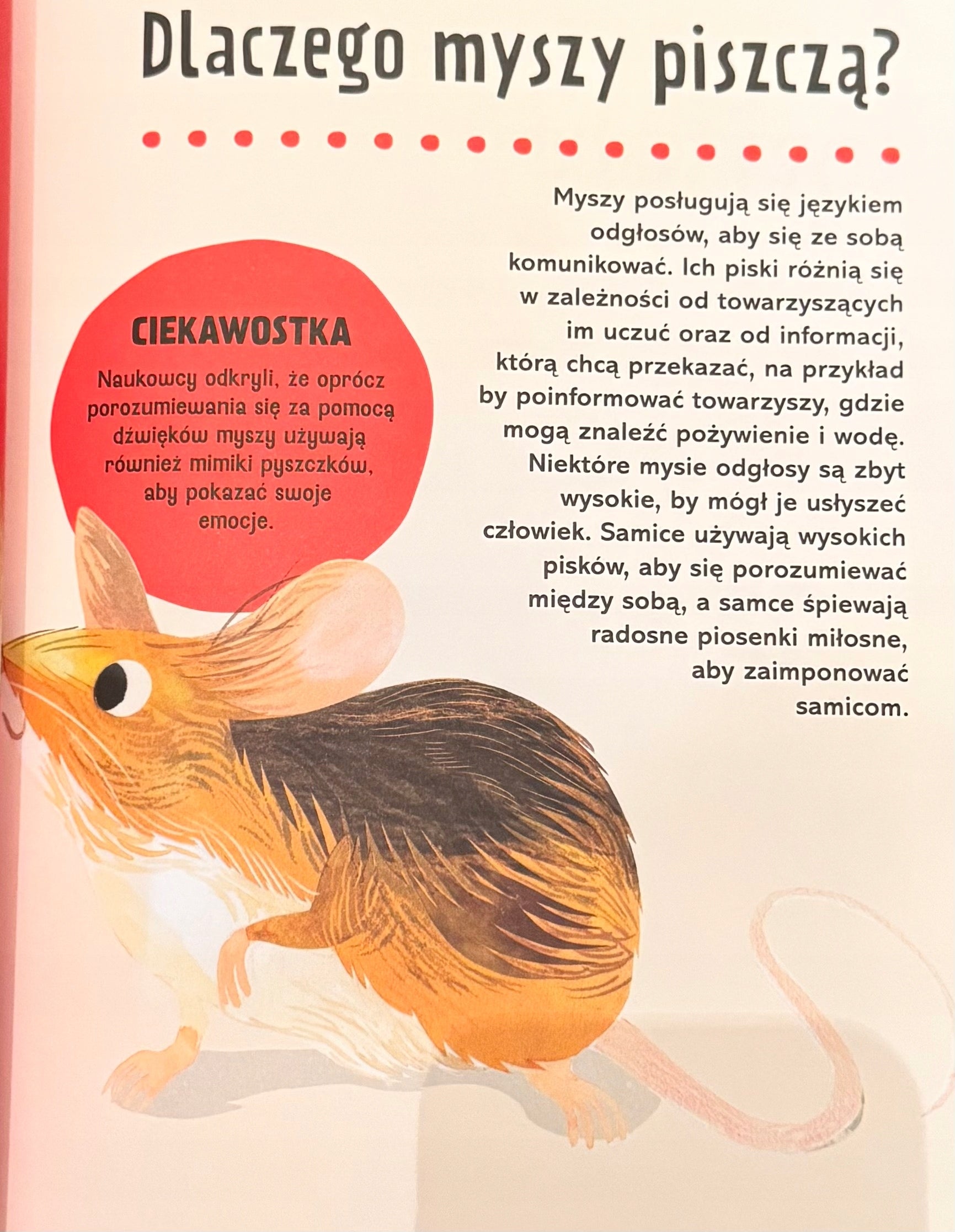Britannica Wielka księga pytań dlaczego? Sally Symes