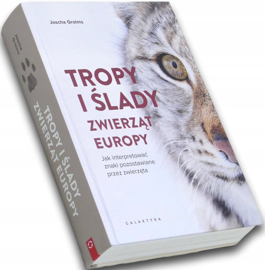 27f3c46175317fd3e5c736e7f099036d