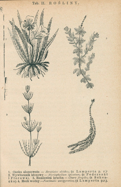Bibljoteka Biologiczna Nr. 3, 4, 10, 11 Życie wód słodkich [1927-31]