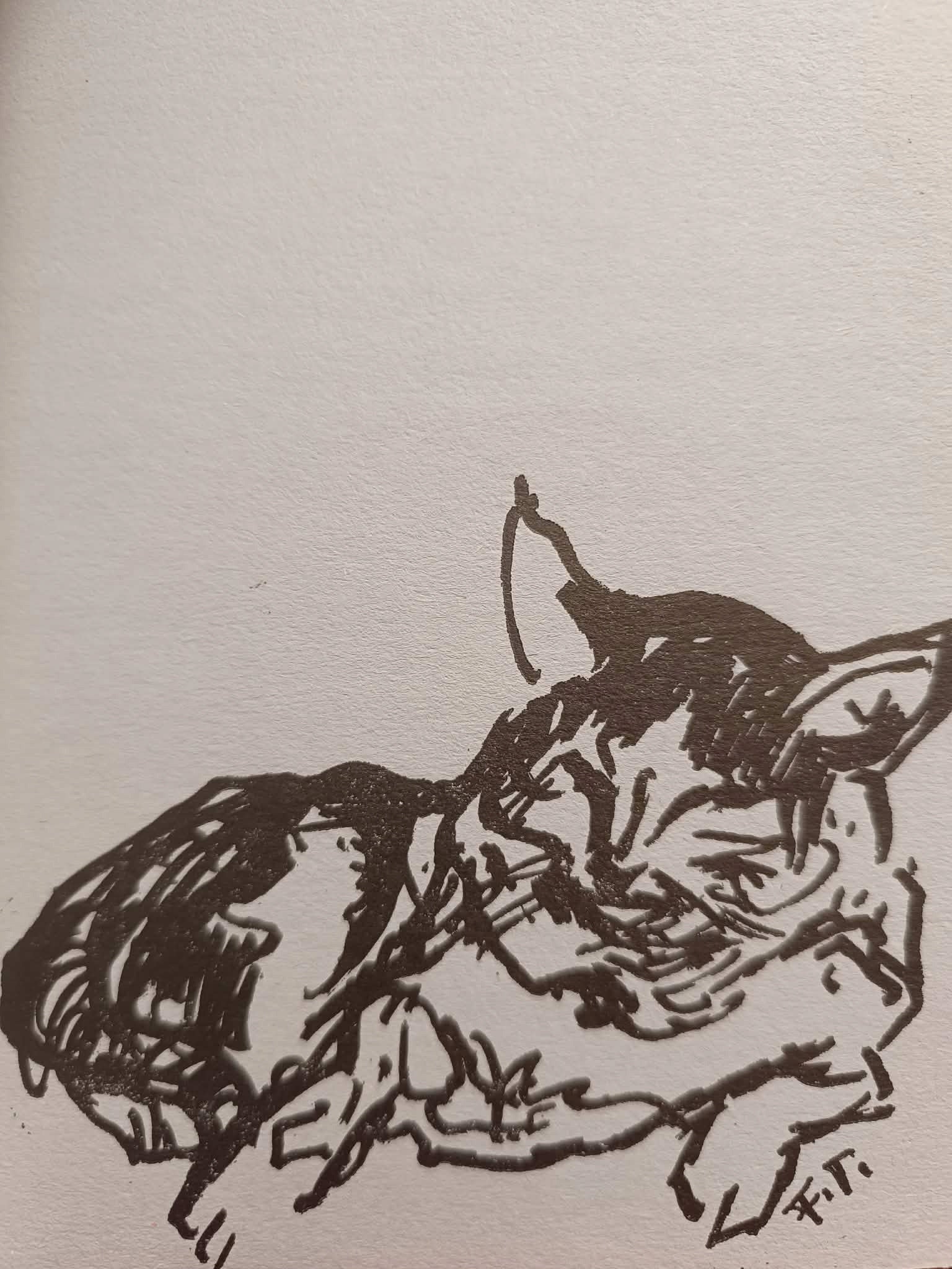 Czesław Bednarczyk, Kubus. My friend the cat [il. Feliks Topolski]