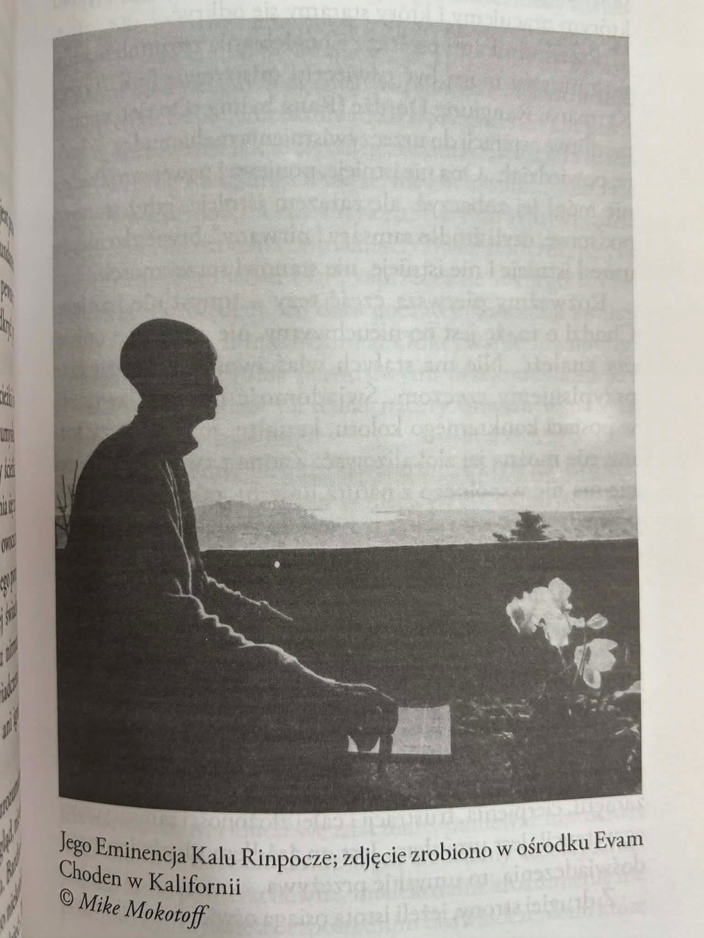 695cc41971a526950fc4783219ffa27f