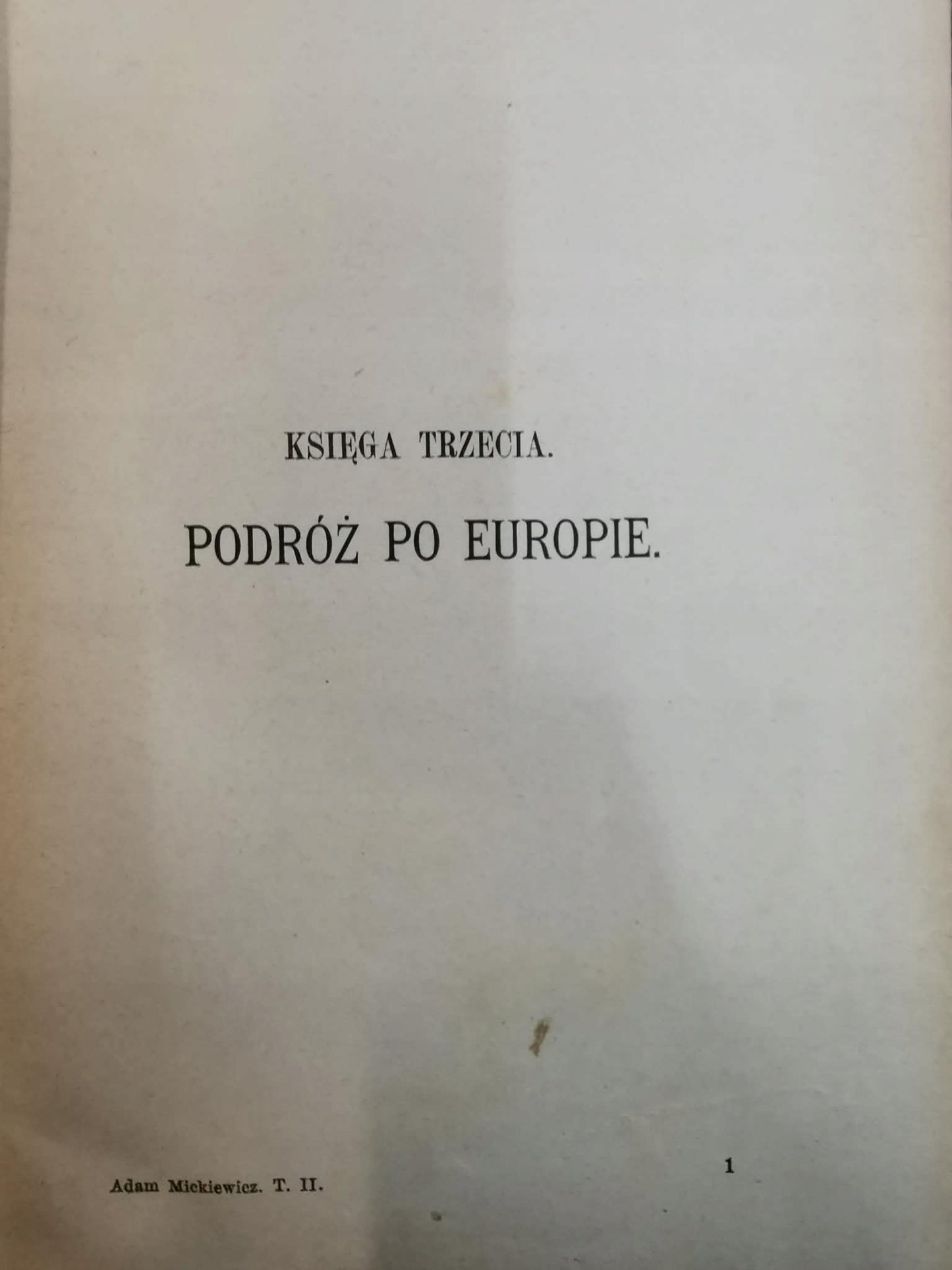 Adam Mickiewicz. Zarys Biograficzno - Literacki t. II, P.Chmielowski [1886]