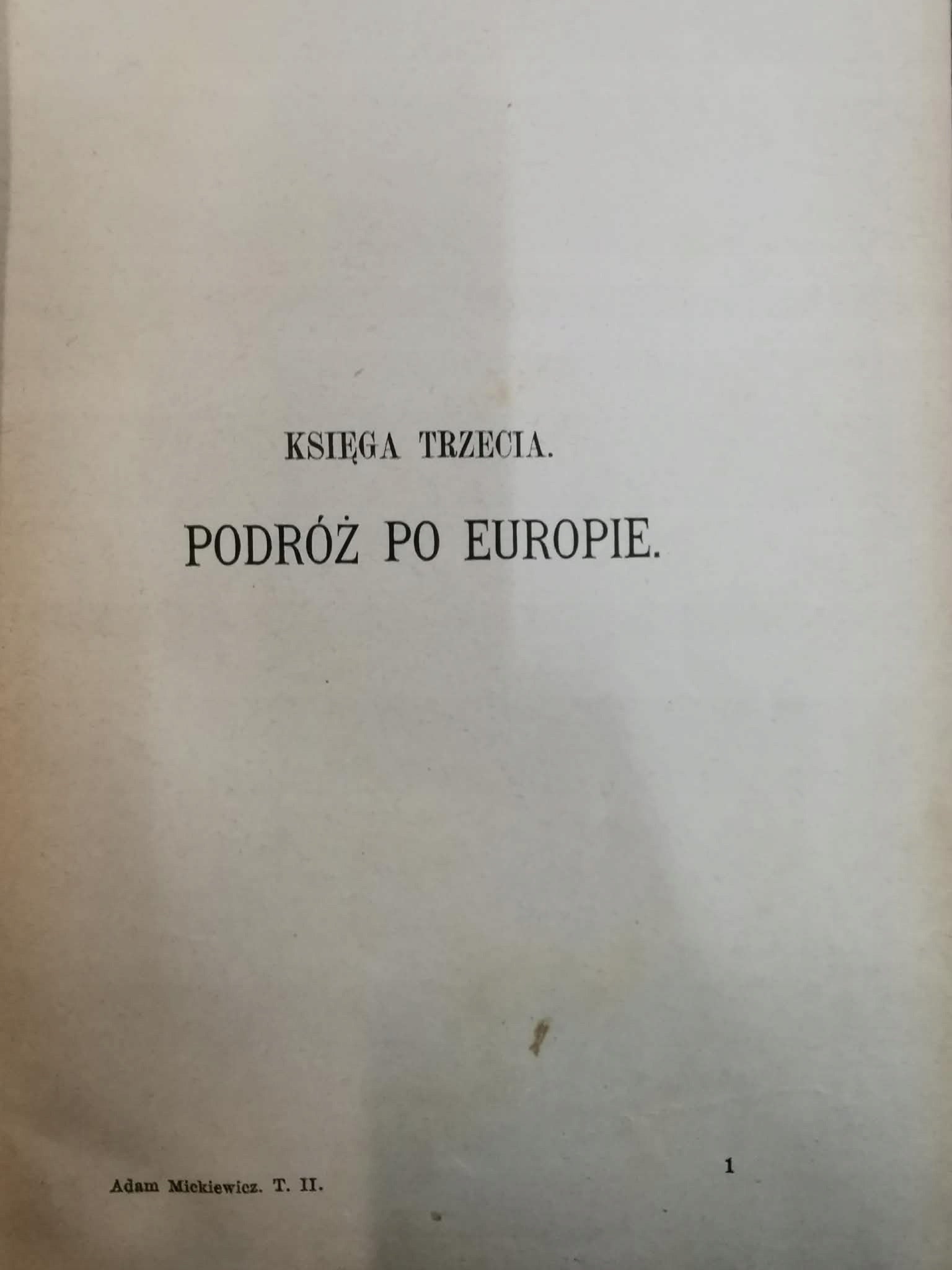 Adam Mickiewicz. Zarys Biograficzno - Literacki t. II, P.Chmielowski [1886]
