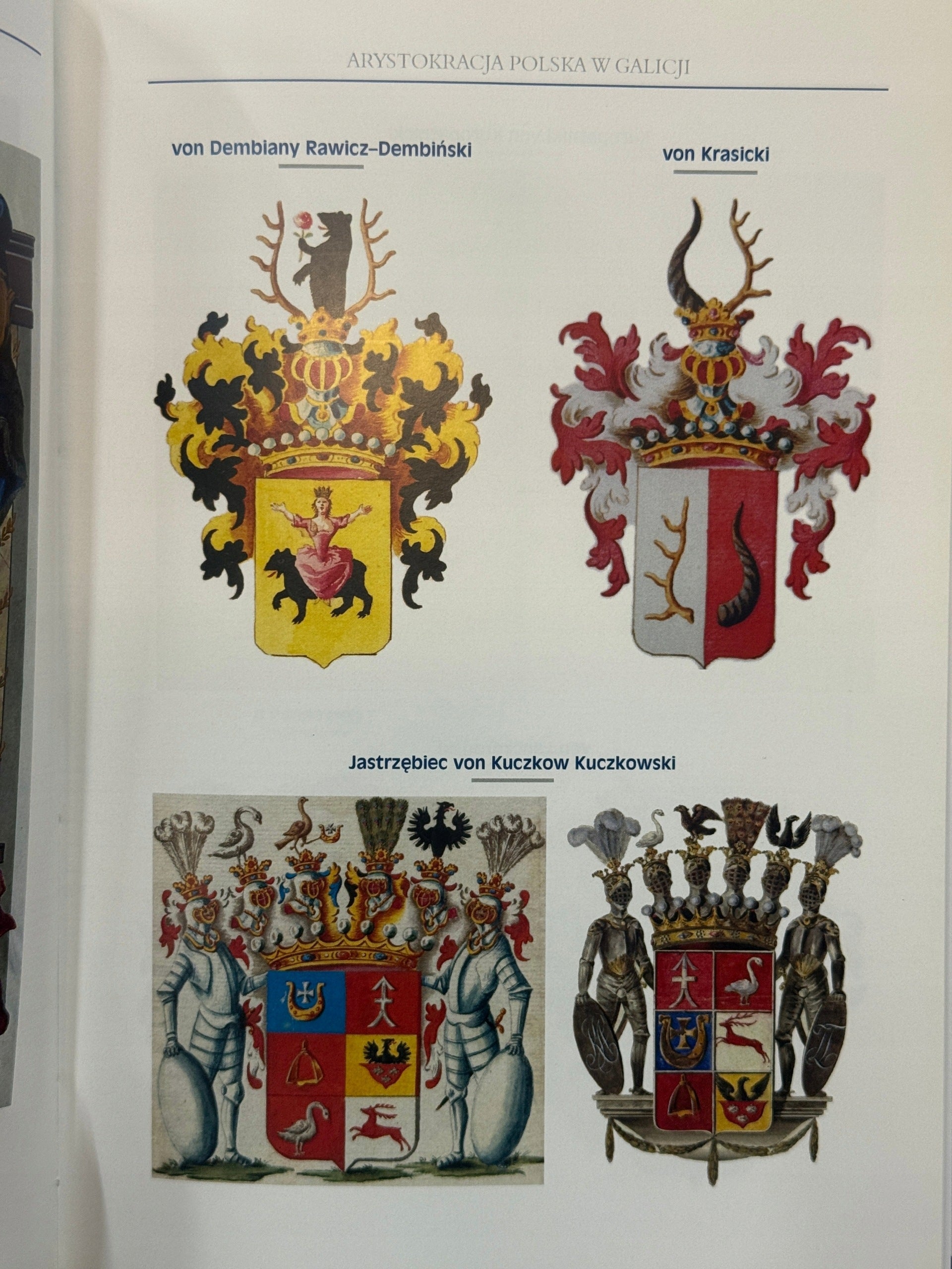 Arystokracja polska w Galicji. Studium heraldyczno-genealogiczne Górzyński