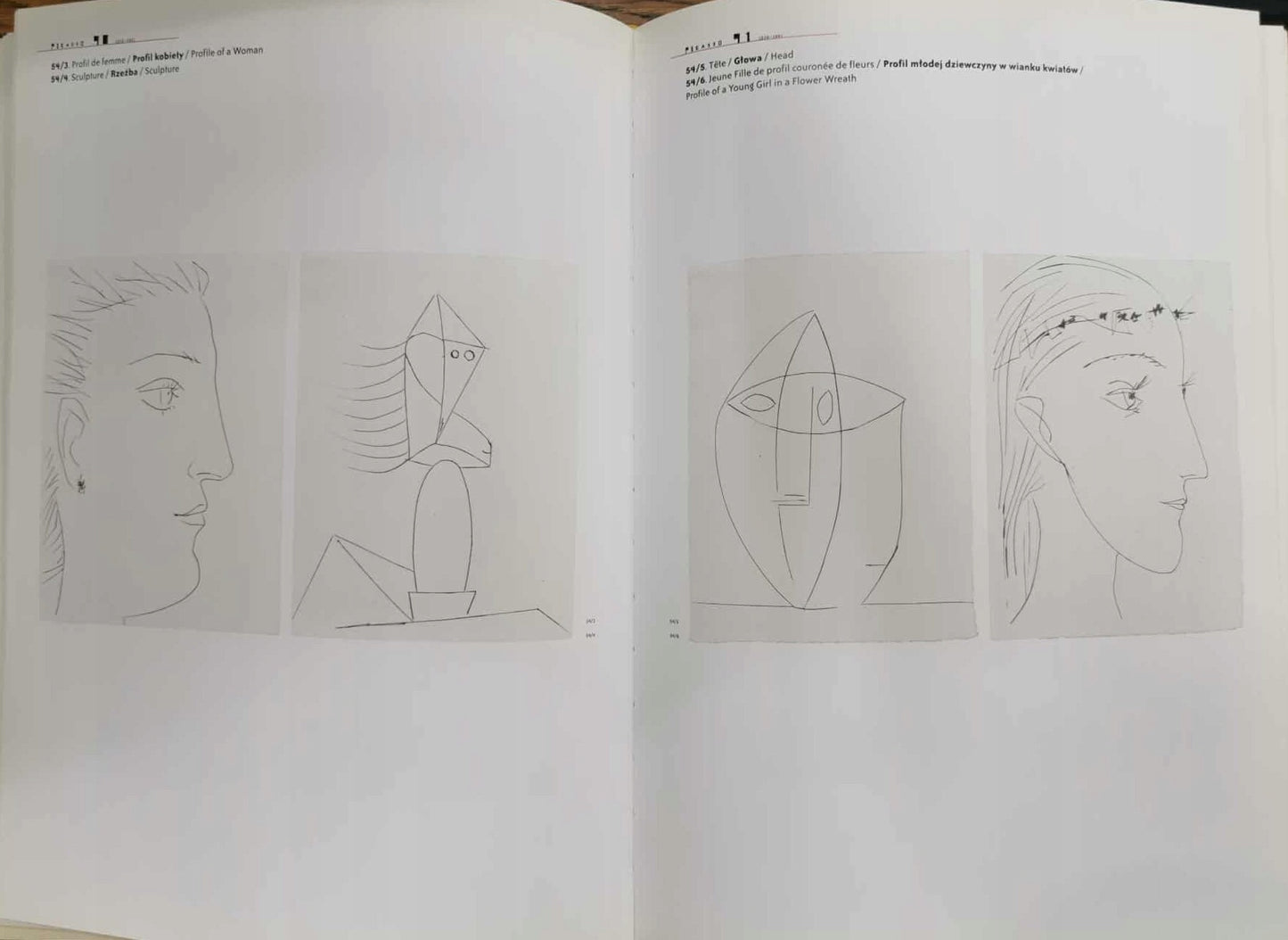 Picasso. Przemiany / Changes, Dorota Folga-Januszewska