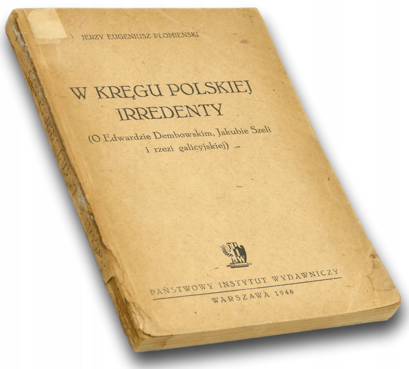 W kręgu polskiej irredenty Jerzy Eugeniusz Płomieński