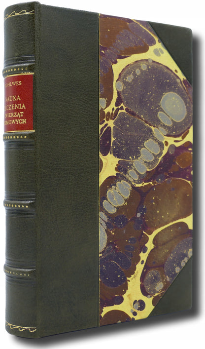 de62ac31430ef59866653676a402b569