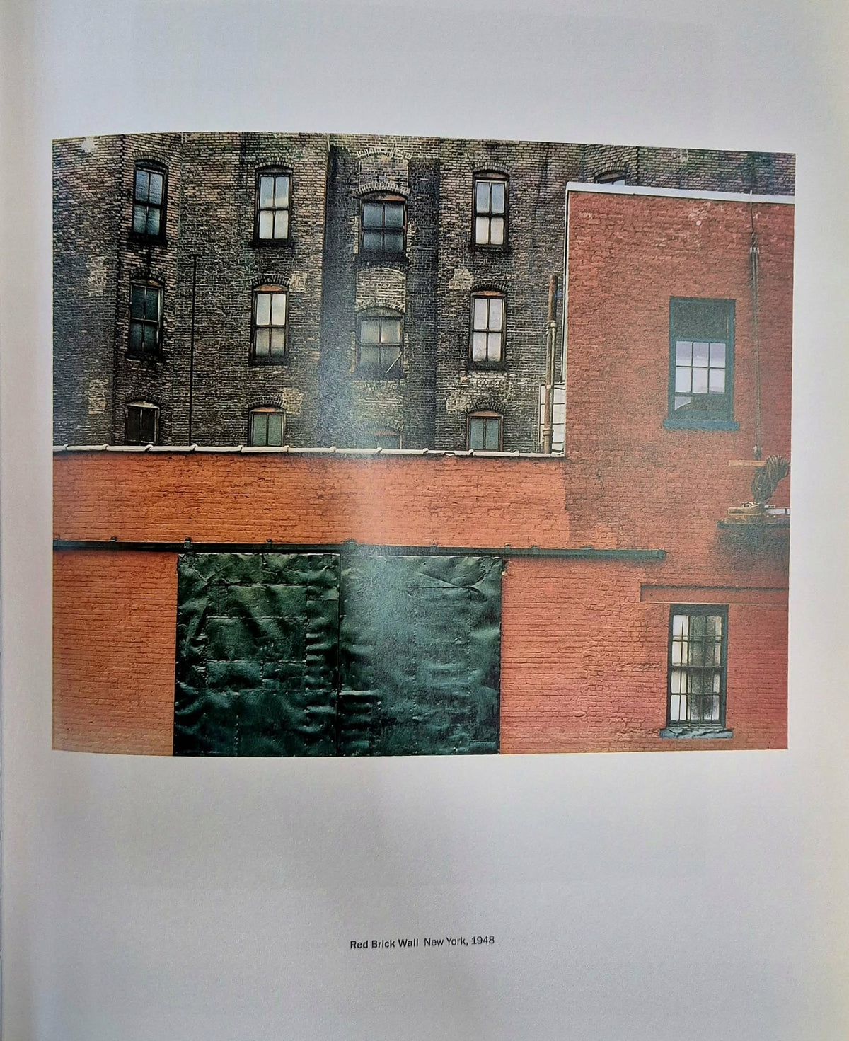 Arnold Newman Philip Brookman [język angielski]