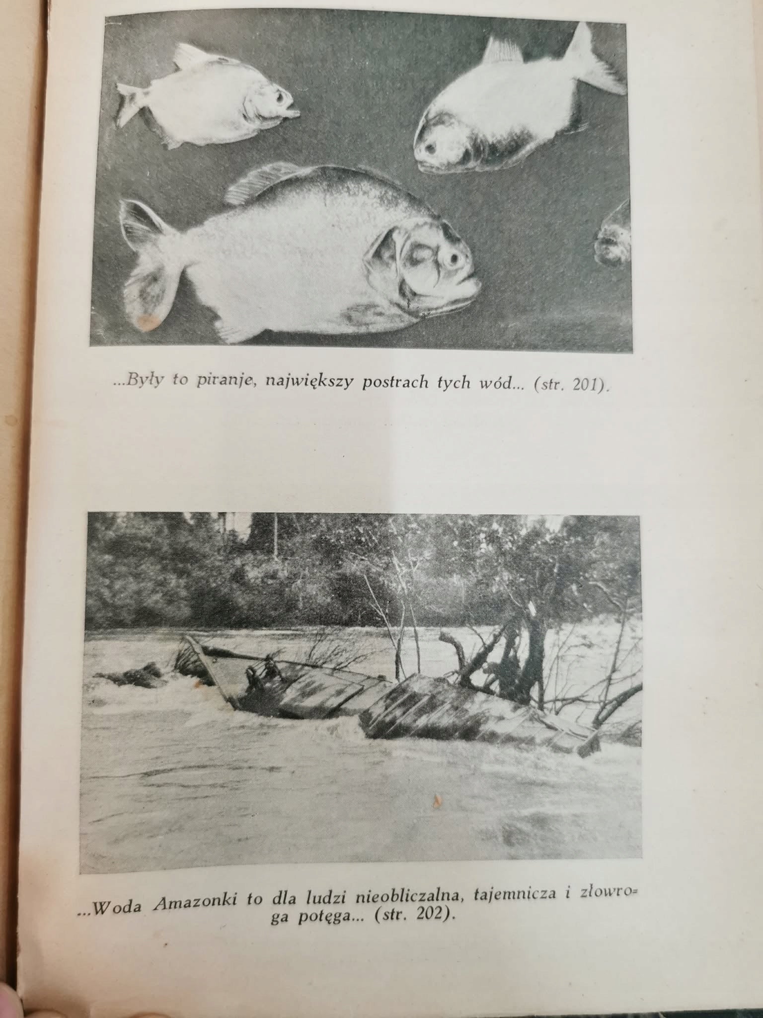 Ryby śpiewają w Ukajali, A. Fiedler [wydanie drugie, 1936]