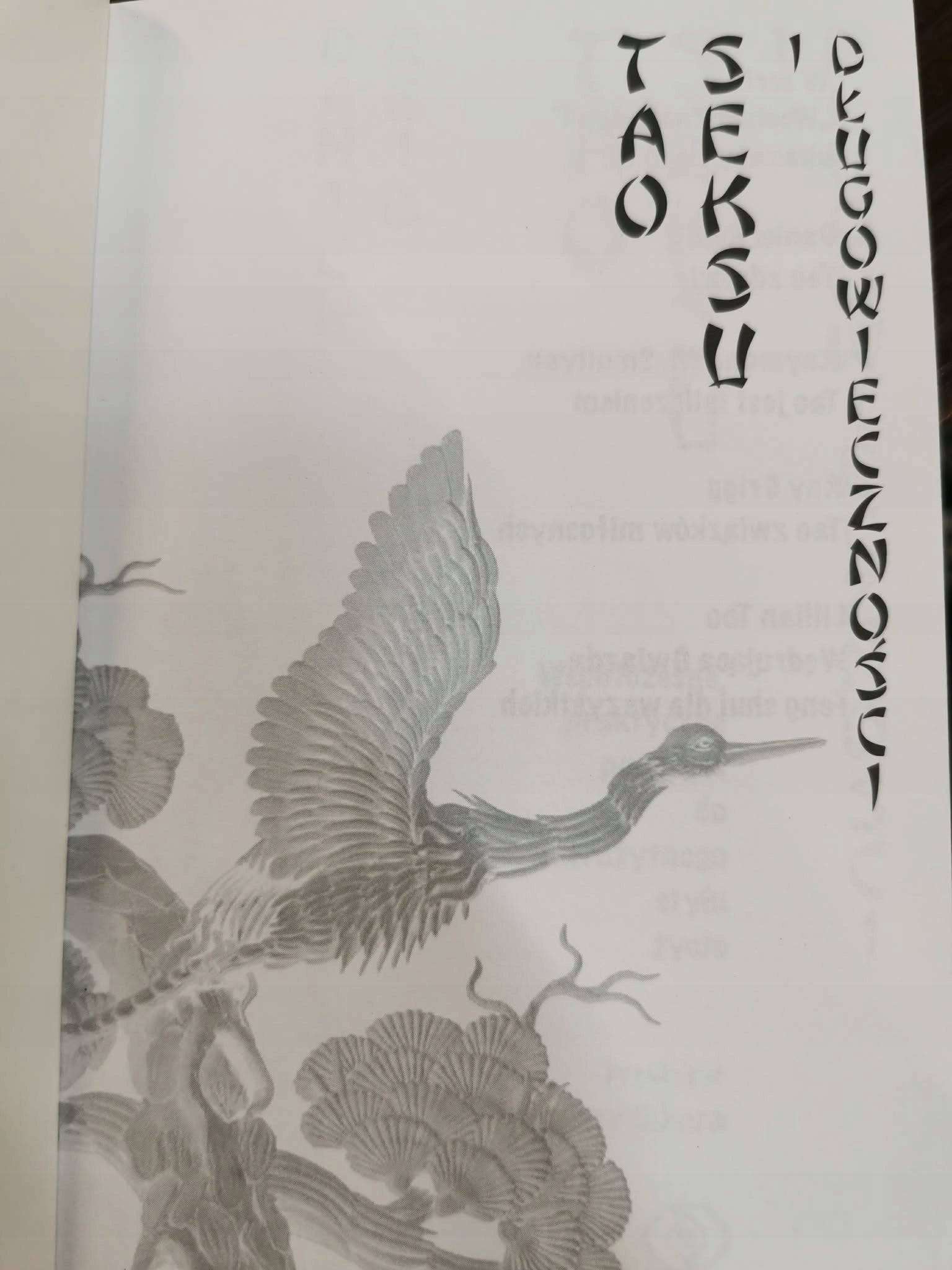 Tao seksu i długowieczności, Daniel Reid