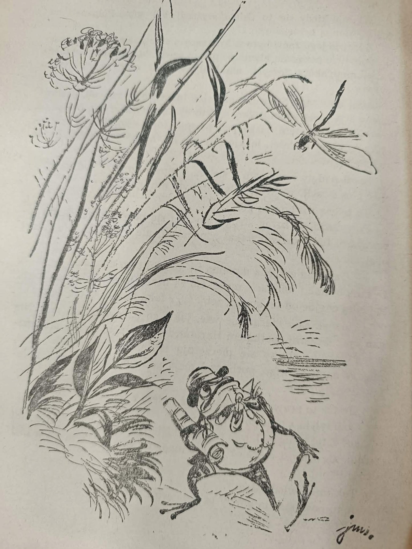O krasnoludkach i o sierotce Marysi, Maria Konopnicka [ilustracje Szancer]