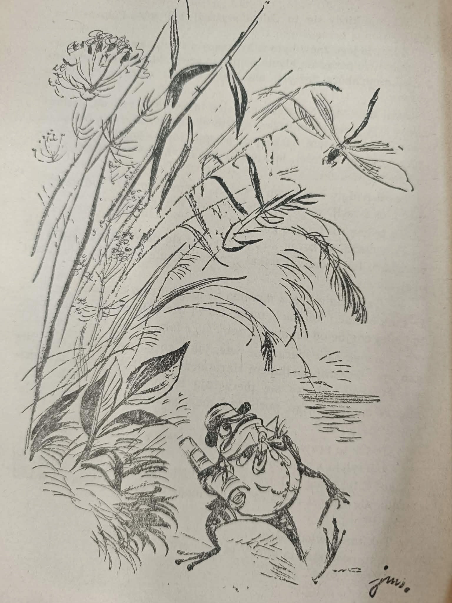 O krasnoludkach i o sierotce Marysi, Maria Konopnicka [ilustracje Szancer]