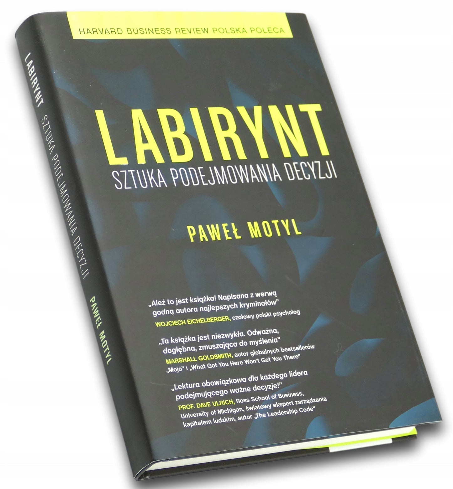 Labirynt Sztuka podejmowania decyzji, Paweł Motyl