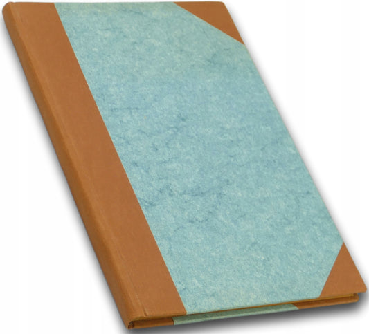 Polacy w Czechosłowacji. Zarys informacyjny - Franciszek Kulisiewicz [1929]