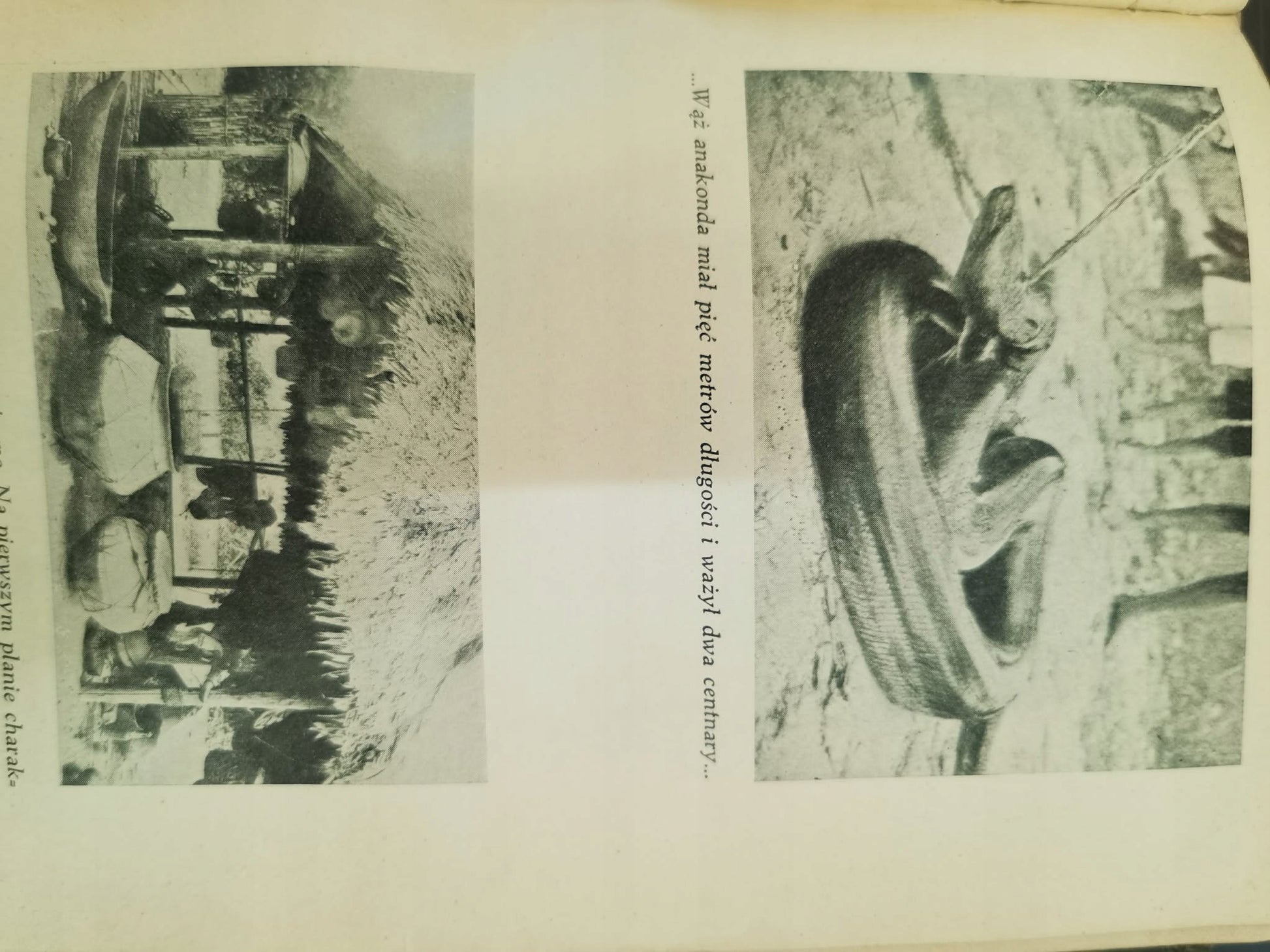 Ryby śpiewają w Ukajali, A. Fiedler [wydanie drugie, 1936]