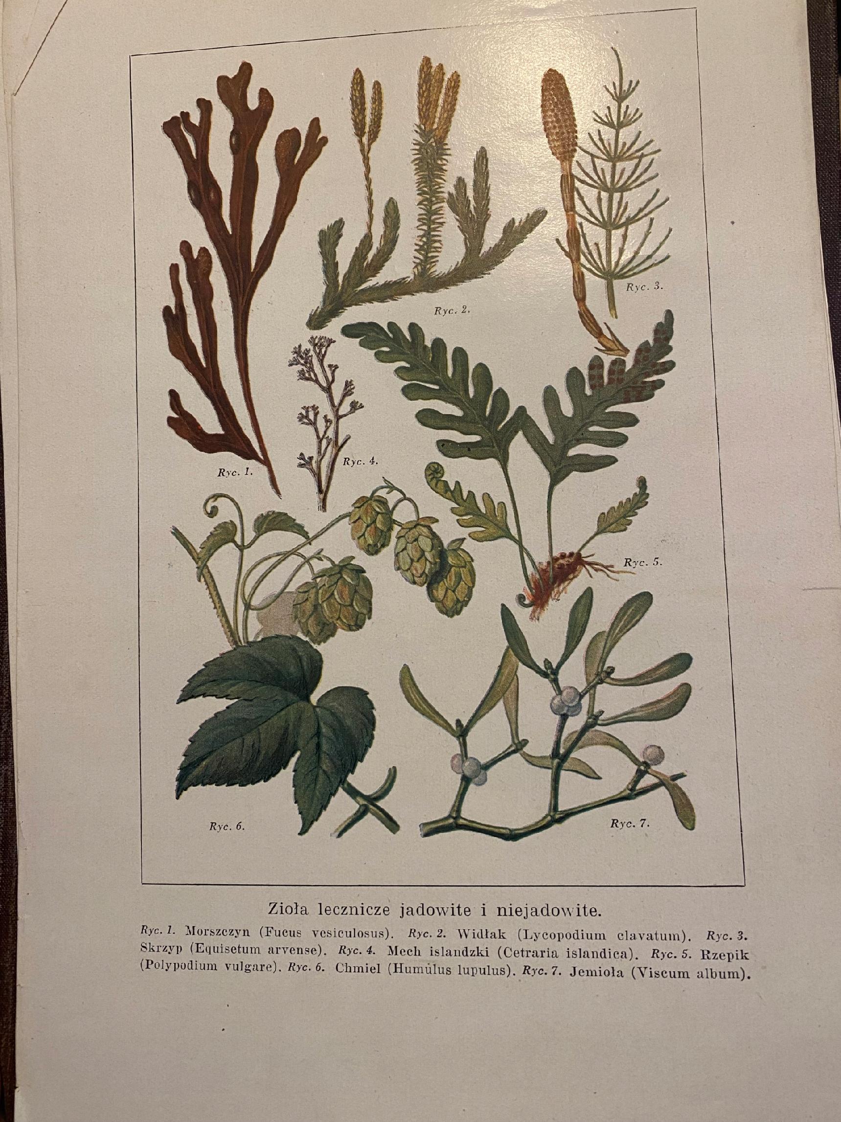 Henryk Rodowski Encyklopedja życia [T. 1-2][1930 r.]