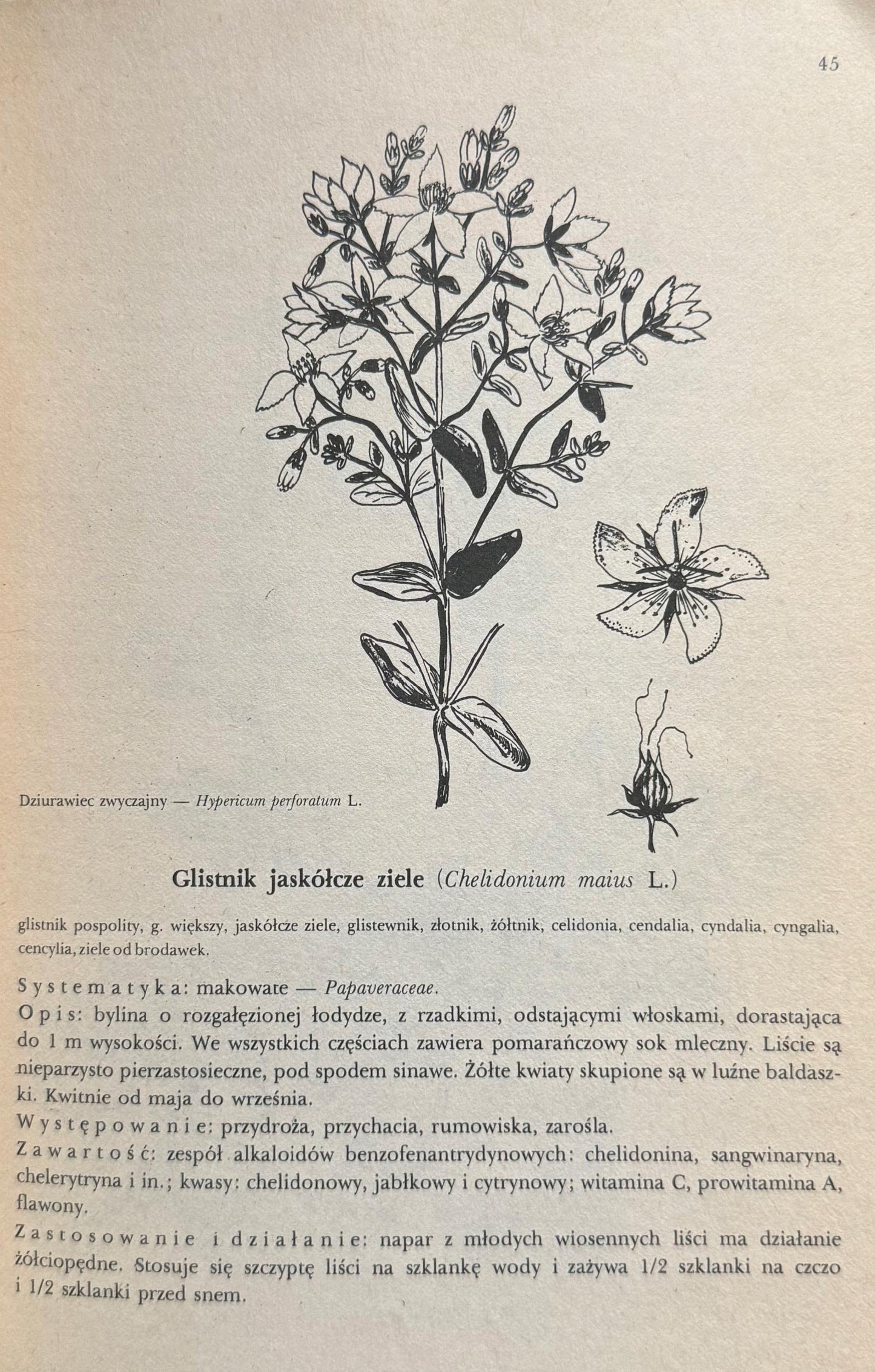 9037c35b56d9d495a65063a0c0f676fd