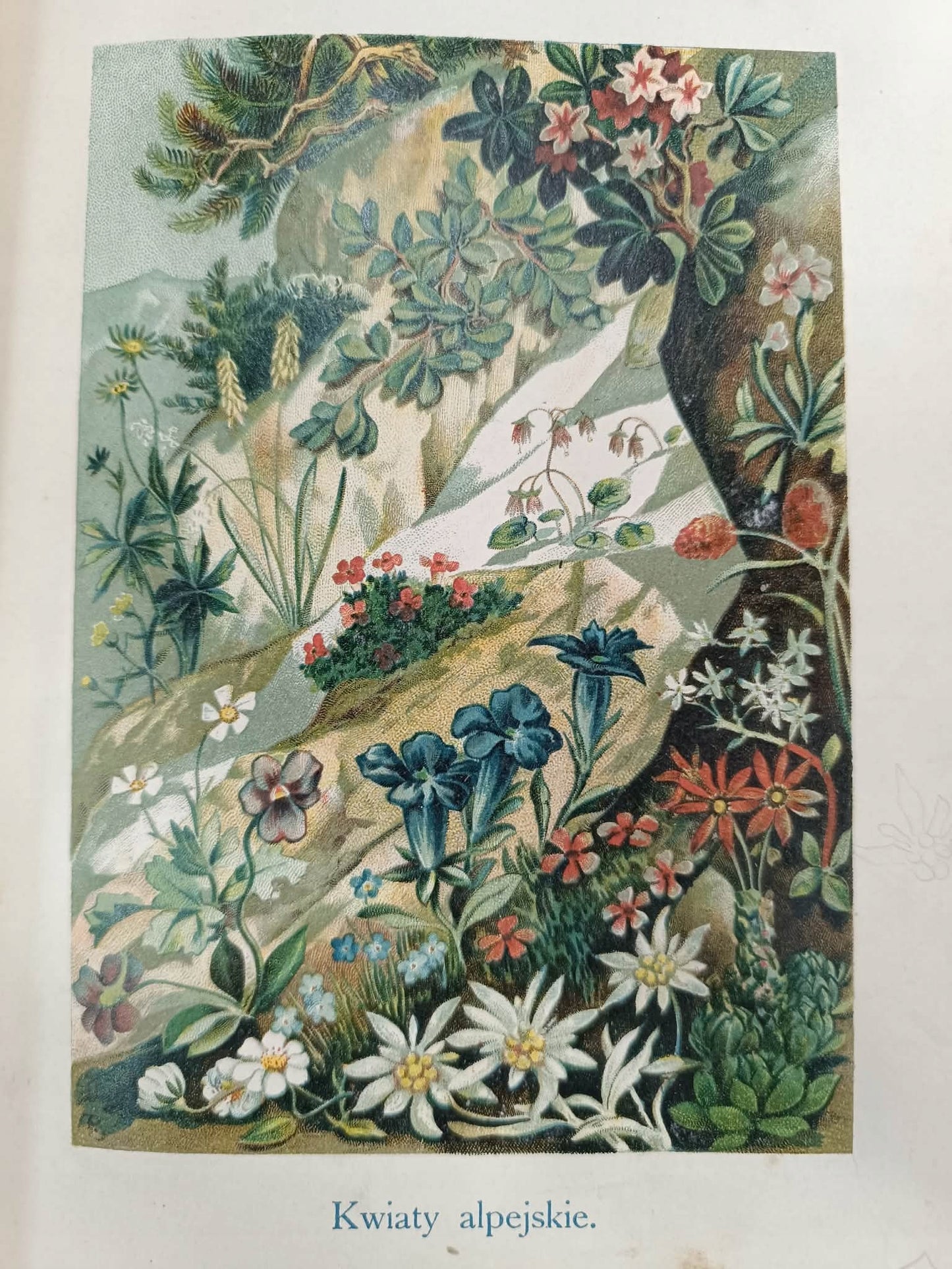Opis ziemi przez Dyr. Stanisława Majerskiego T. I [1901]