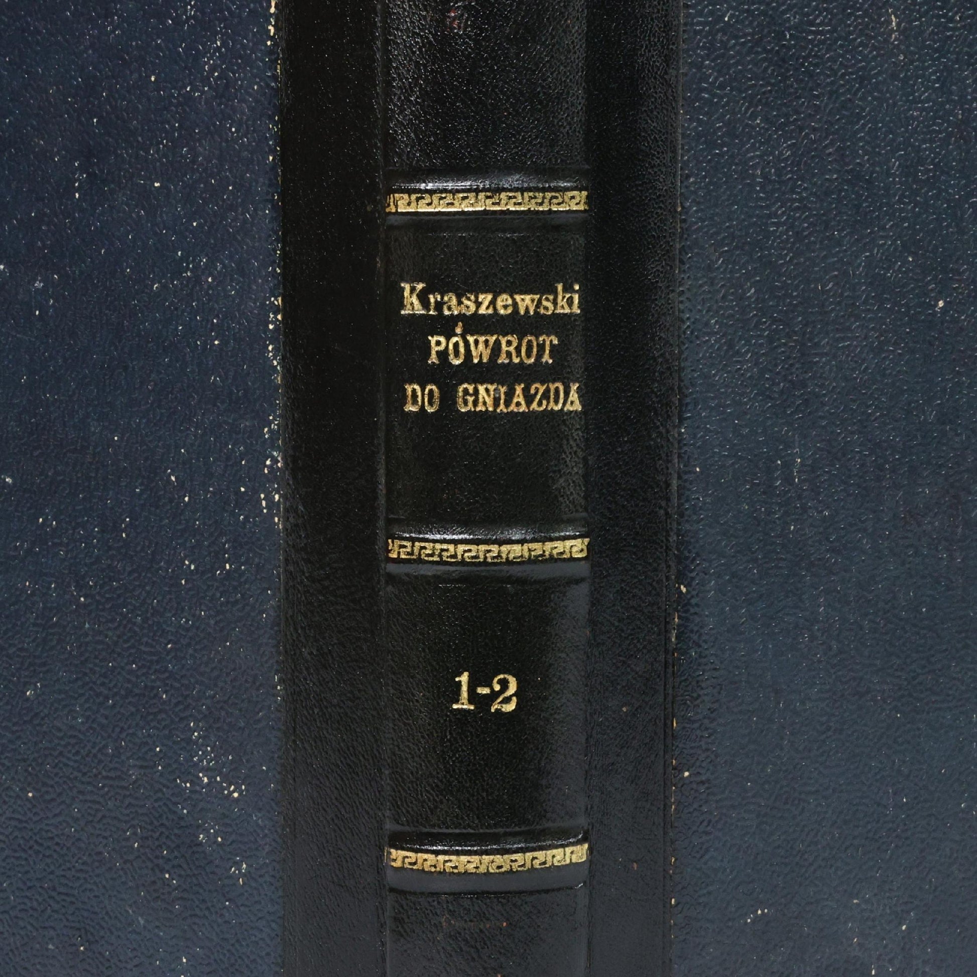 Powrót do gniazda. Powieść, Kraszewski Jan Ignacy [1883]